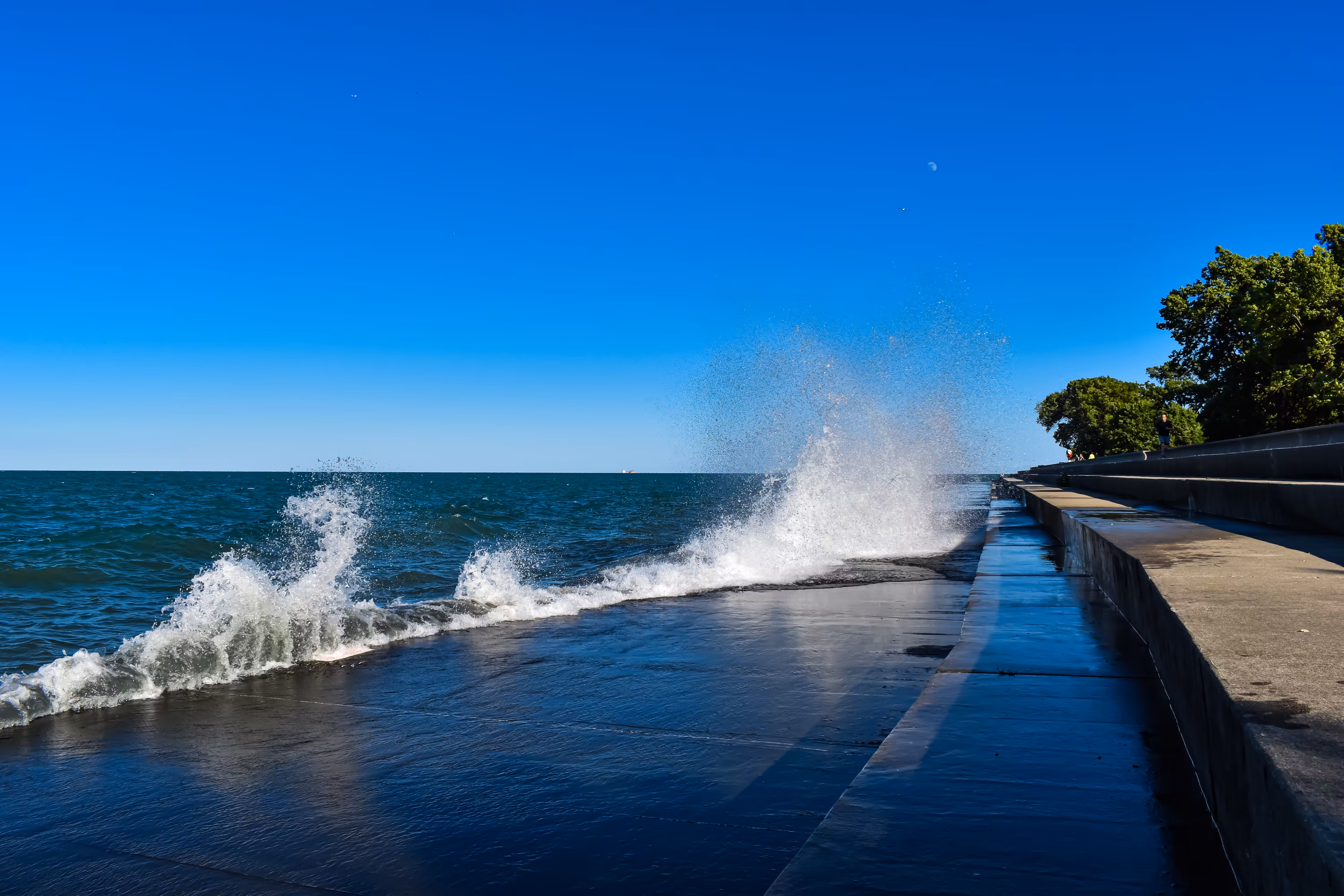 Belmont Splash