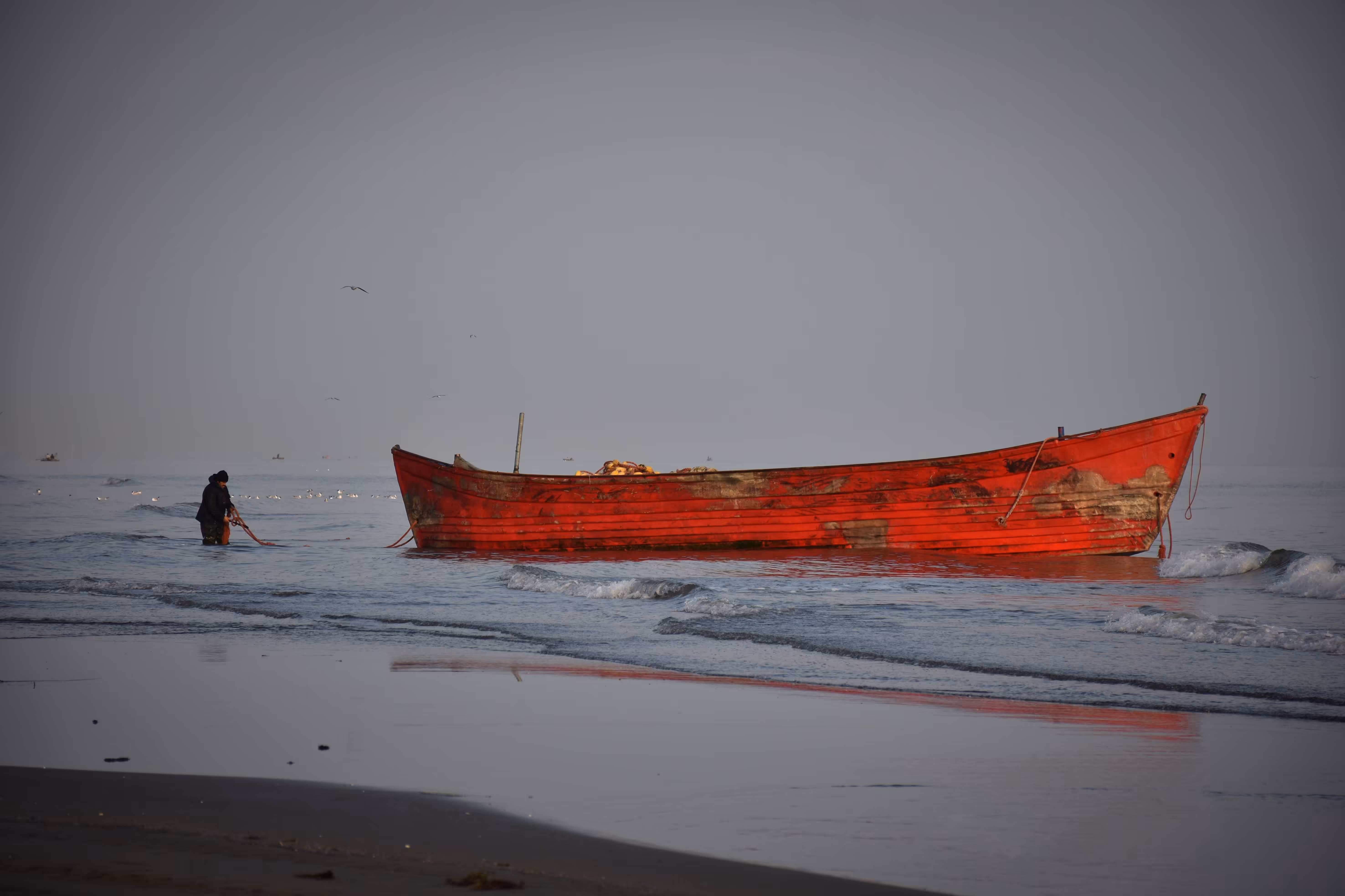 The old man and the sea