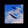 006 Air Eye