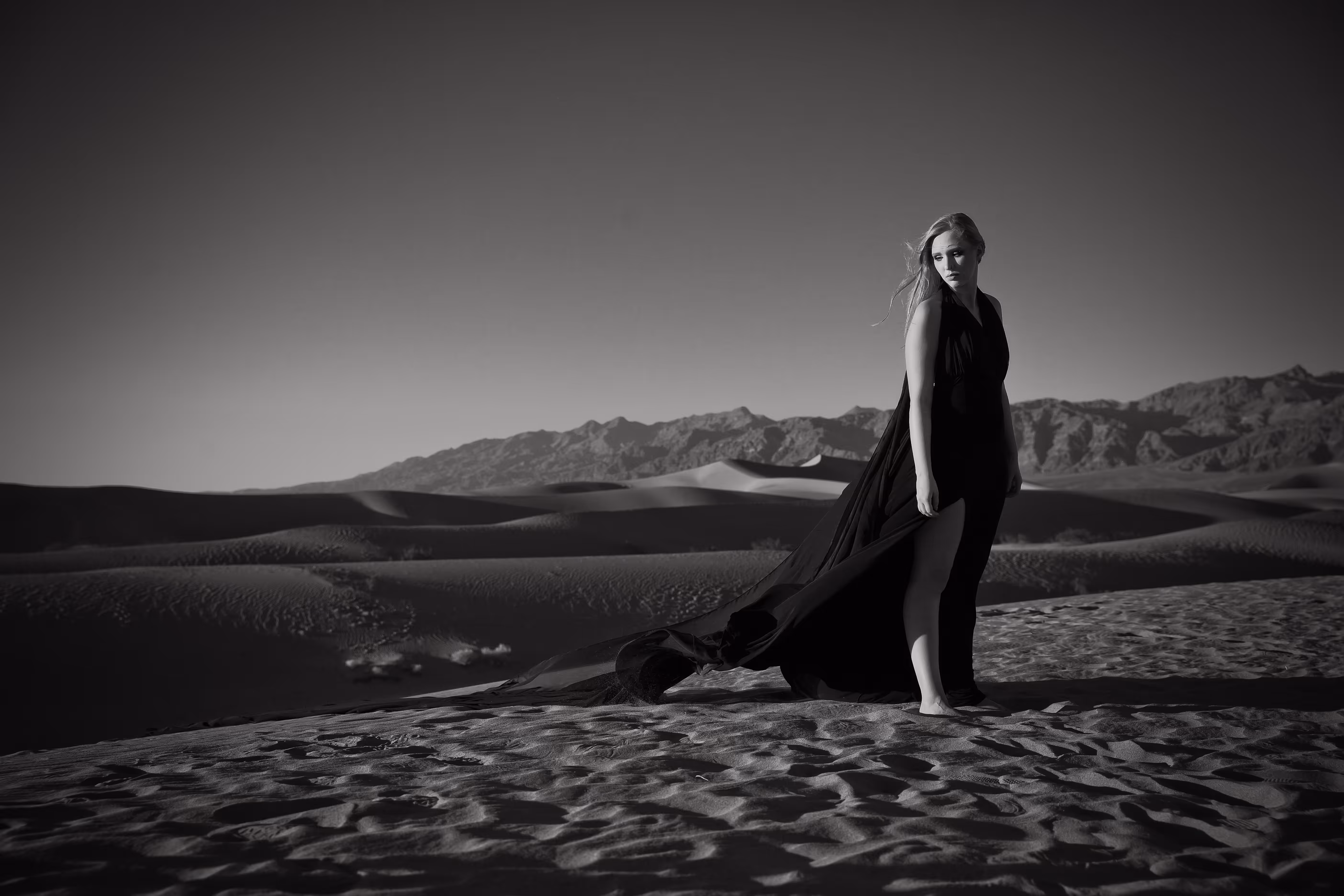 Desert Wanderer