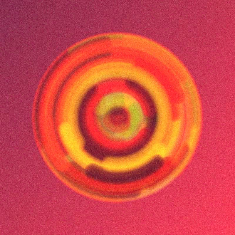 Wisp #580