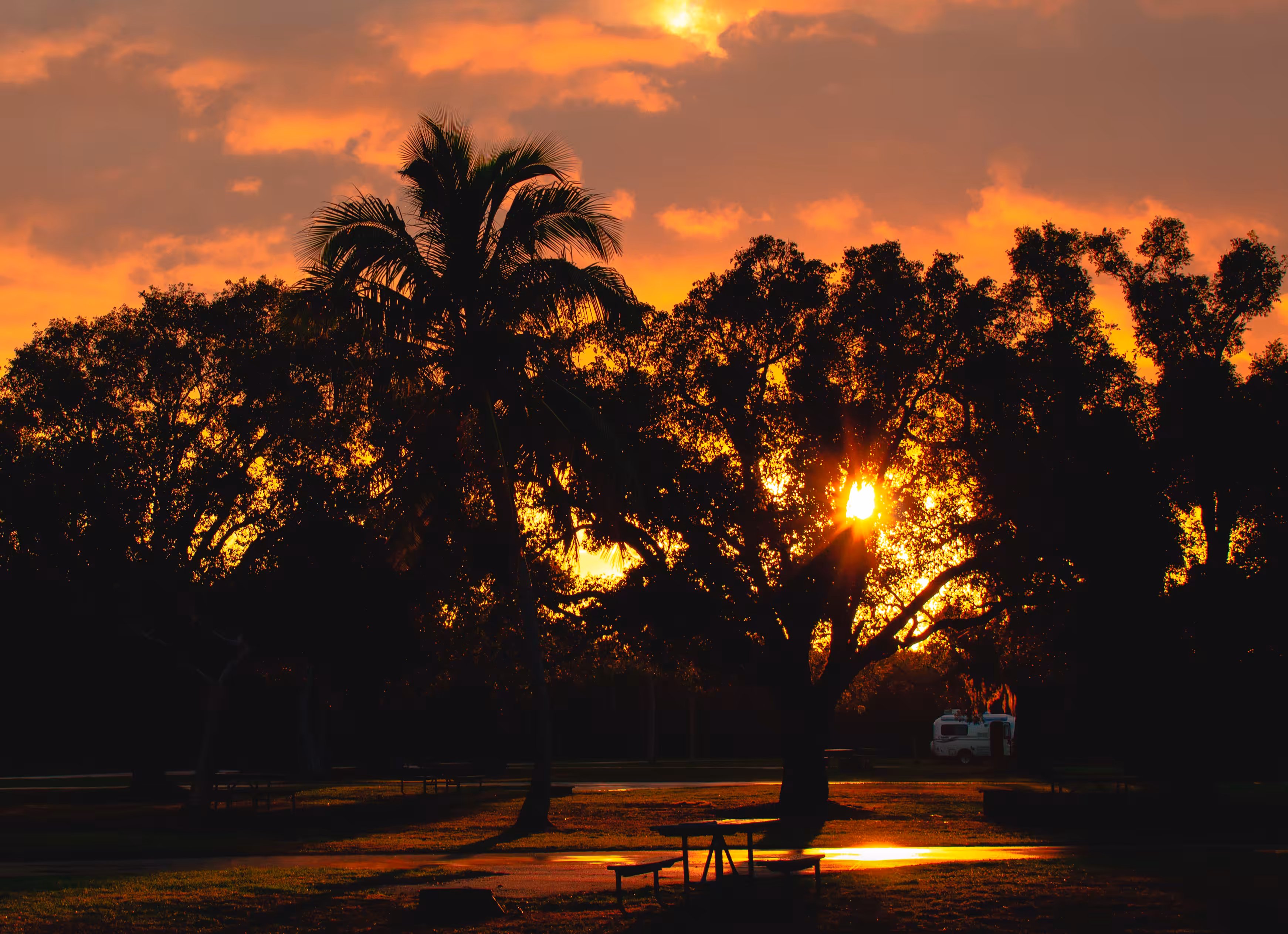 Postcard from the Everglades