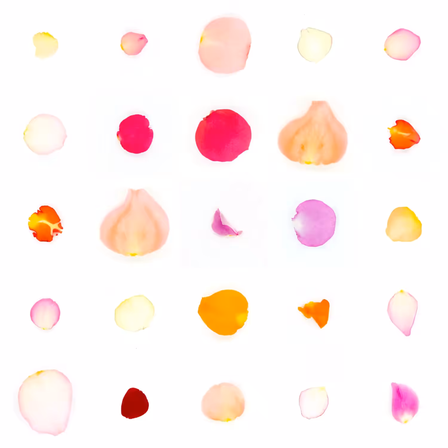 Infinite Petals 5x5#2587