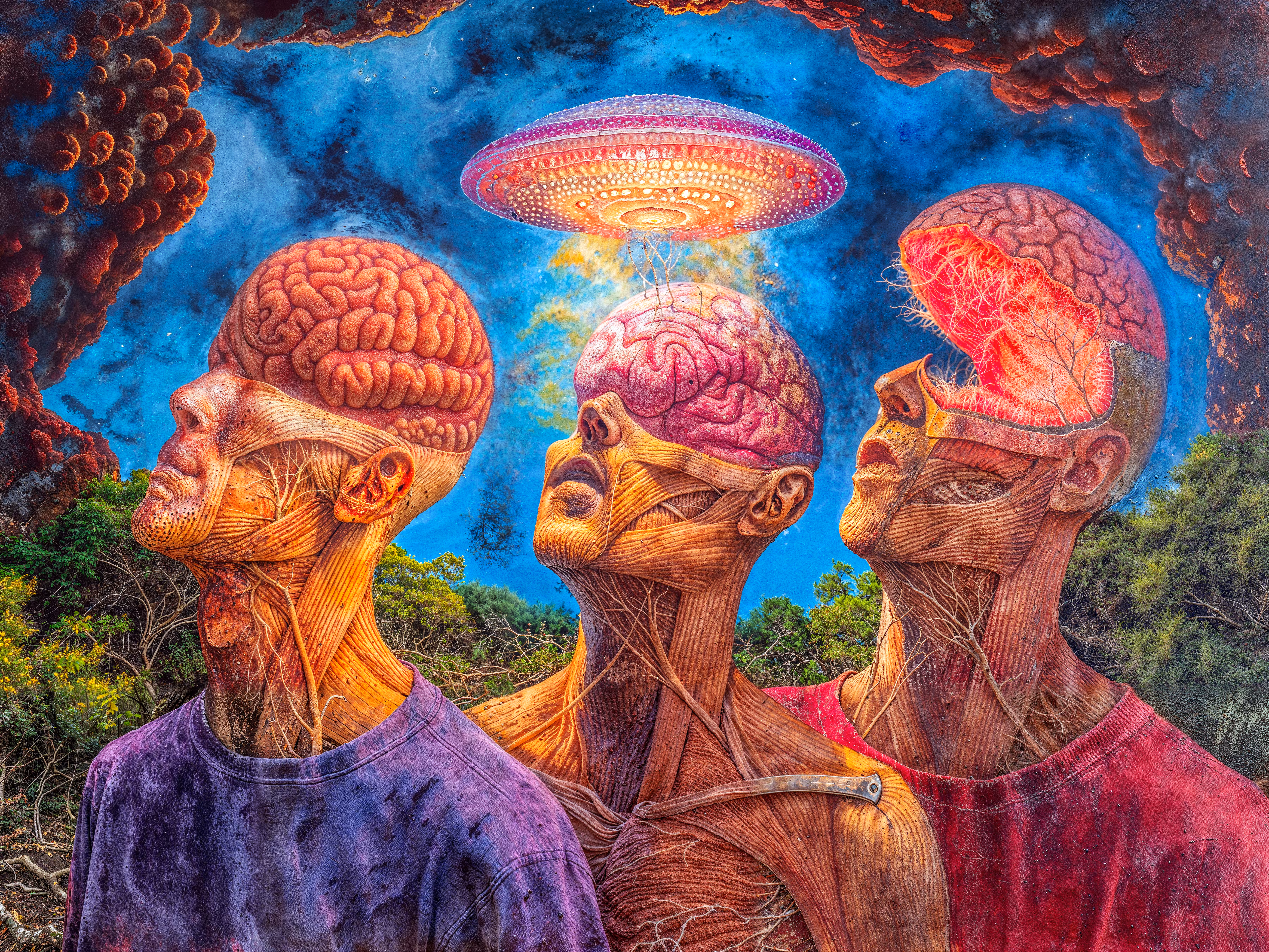 Rodeo posts: Mind Meld 1.0