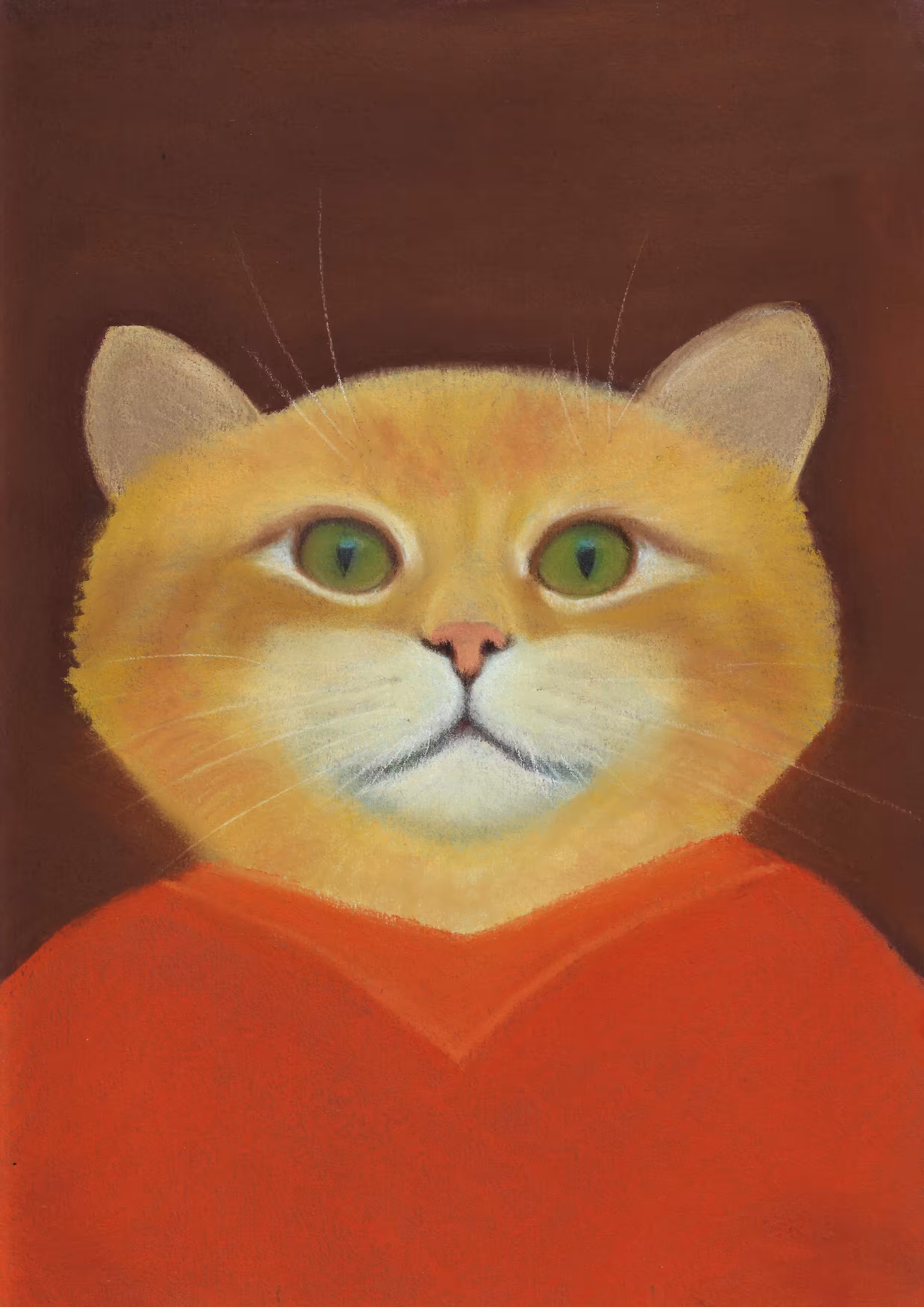 Portrait of a fluffy cat 