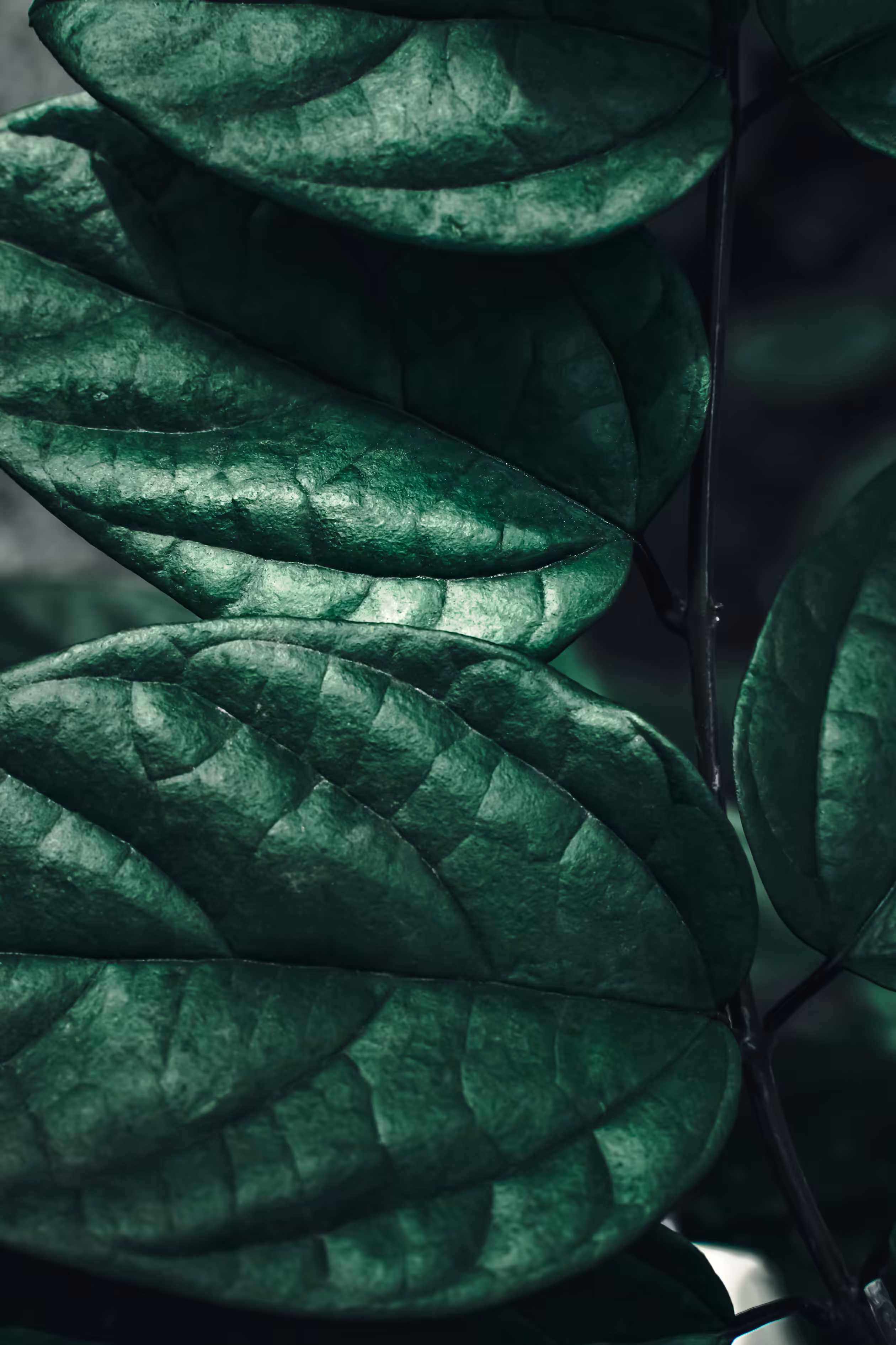 Green Gold