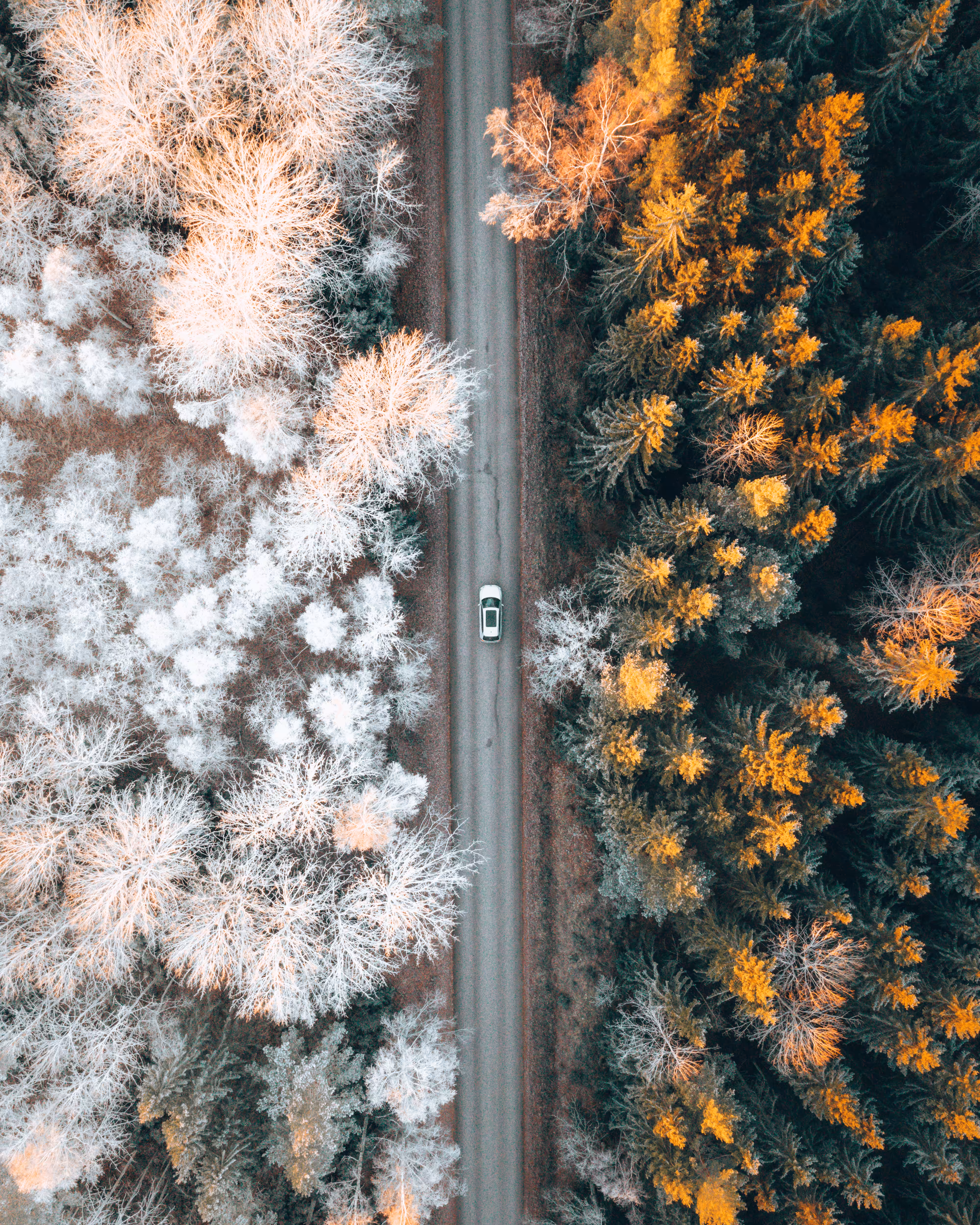 A Decade From Above #15 - Mixed Seasons