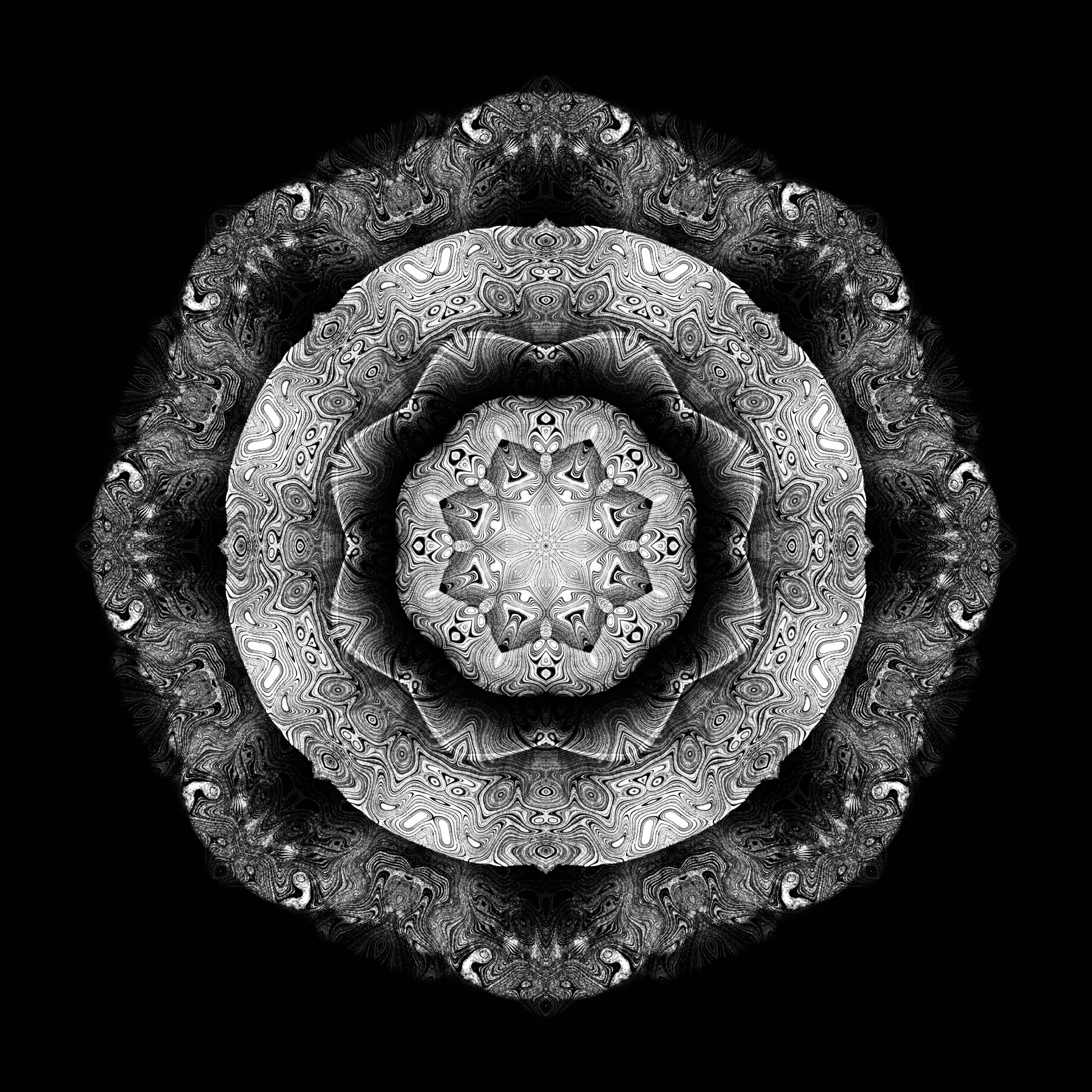 dark camellia D1