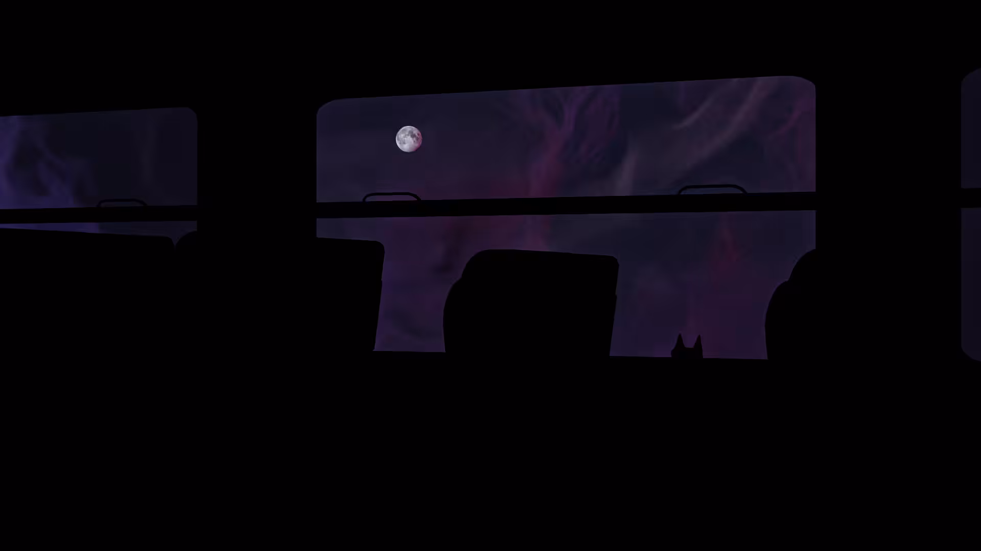 Moonshot