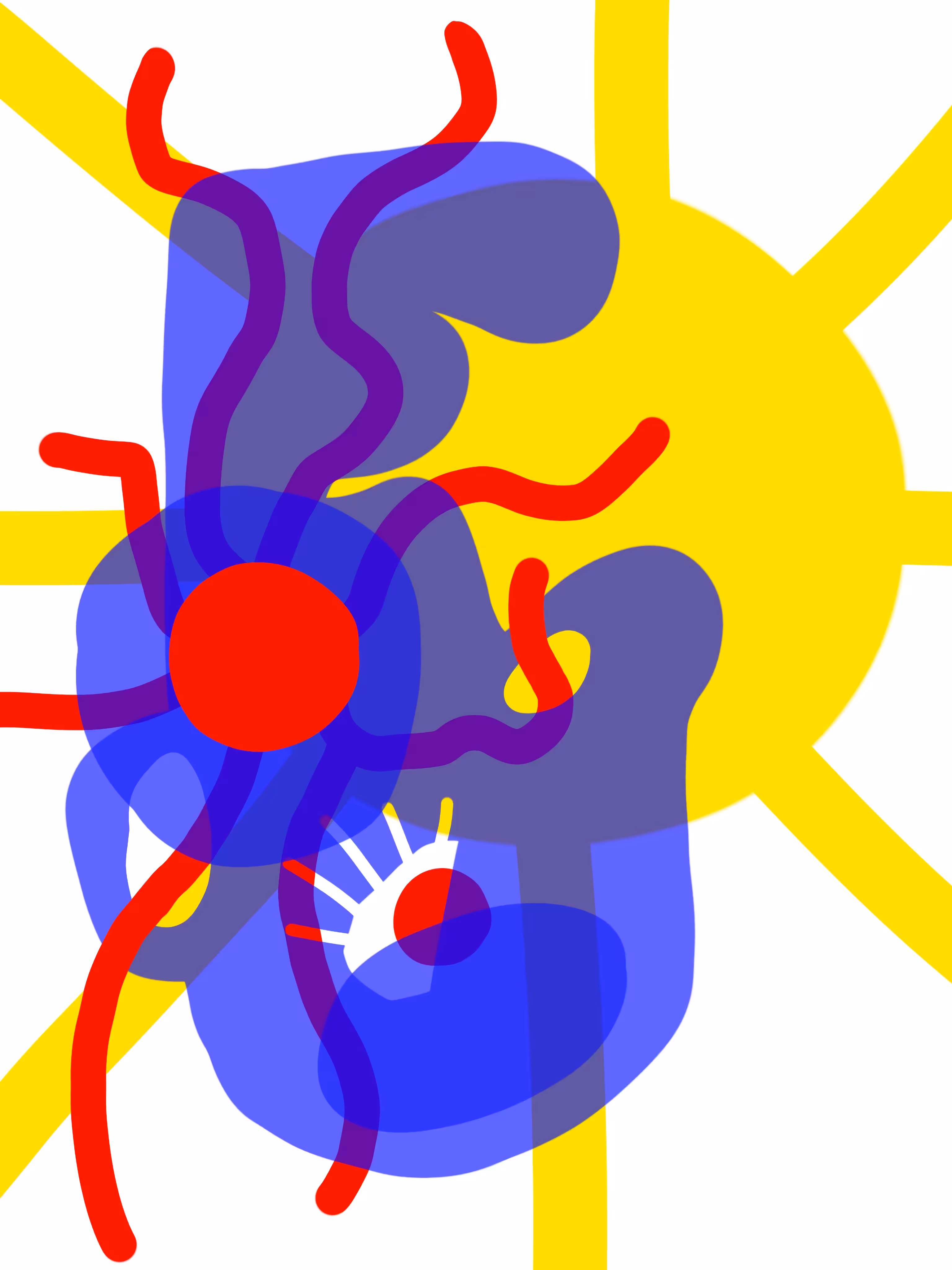 ACT: THE SUN AND THE VEIL