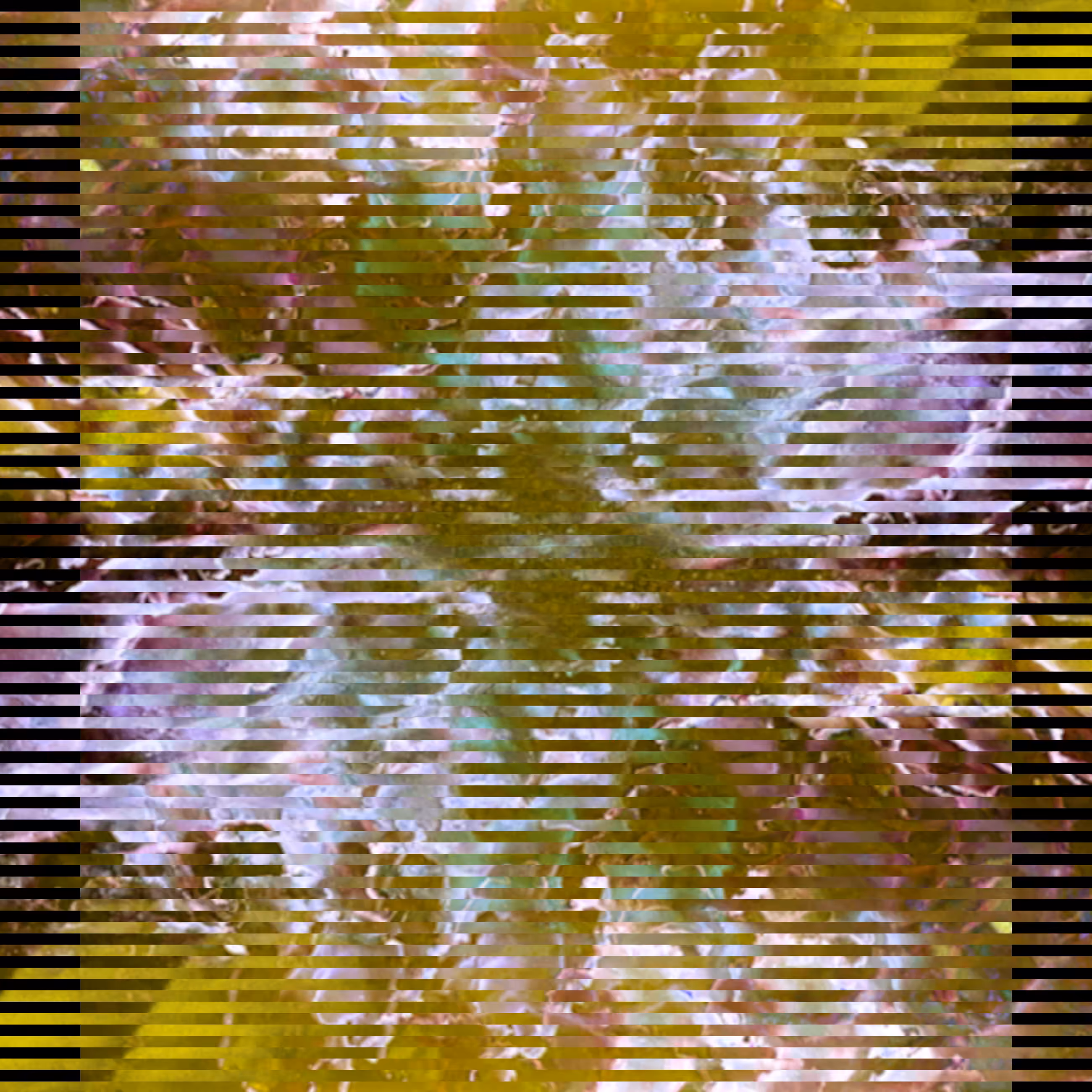 Petals