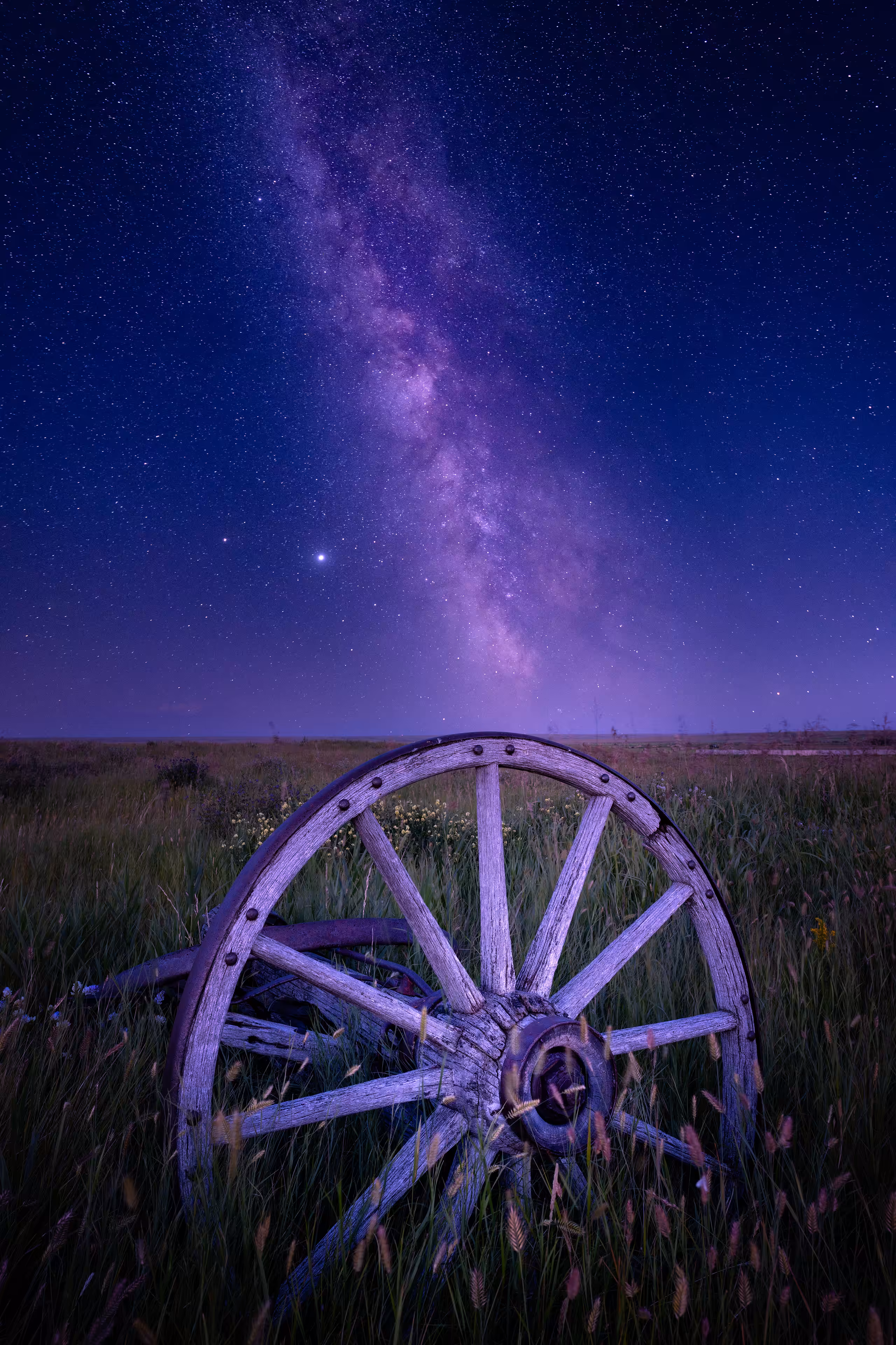 The Cosmos Within