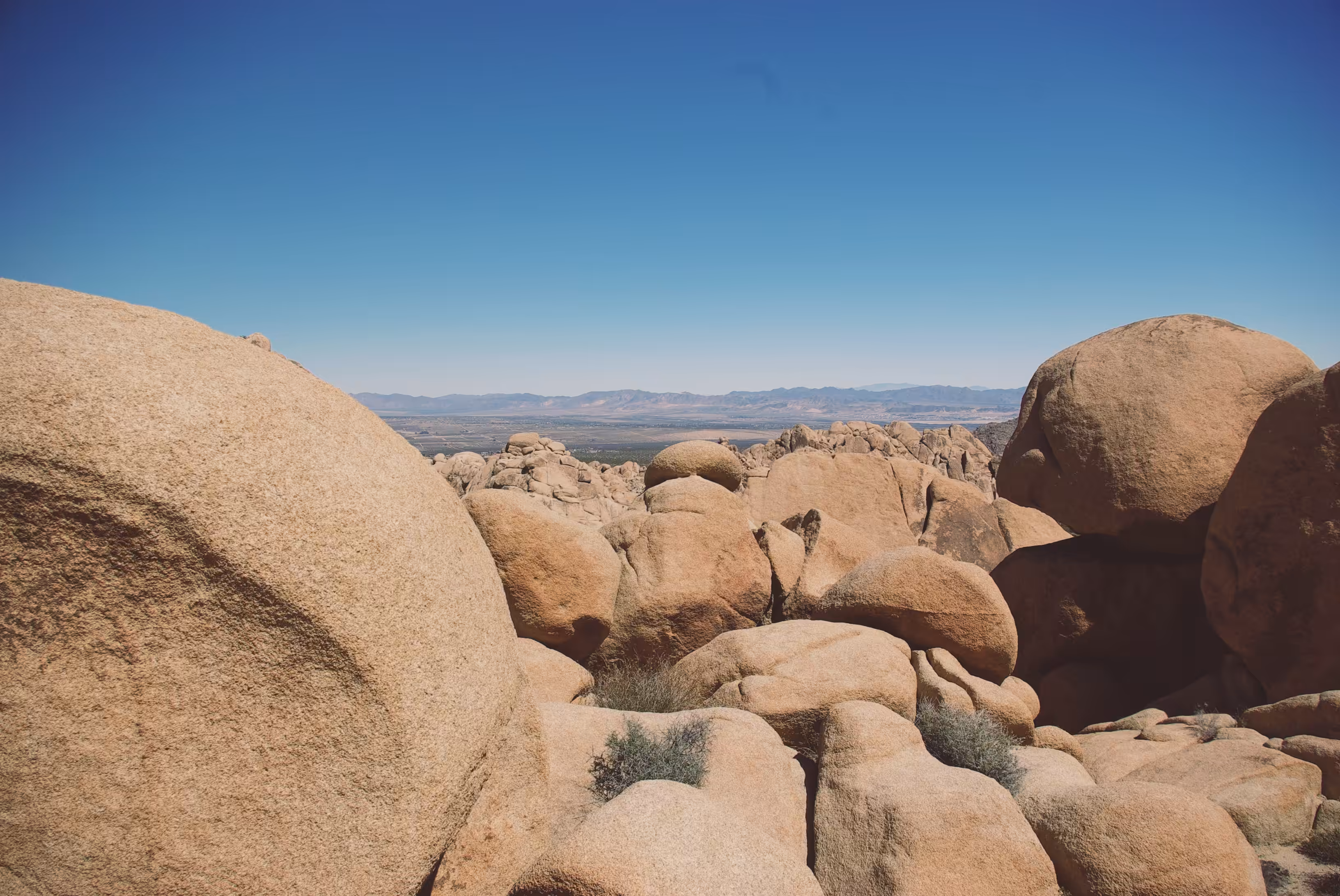 Reminted: Tatooine
