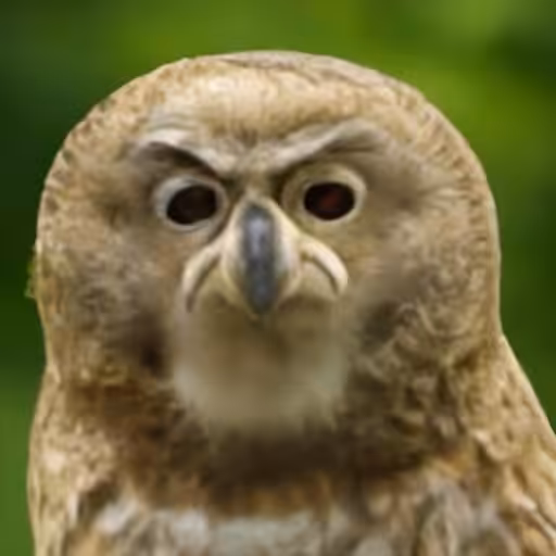 disapproval 