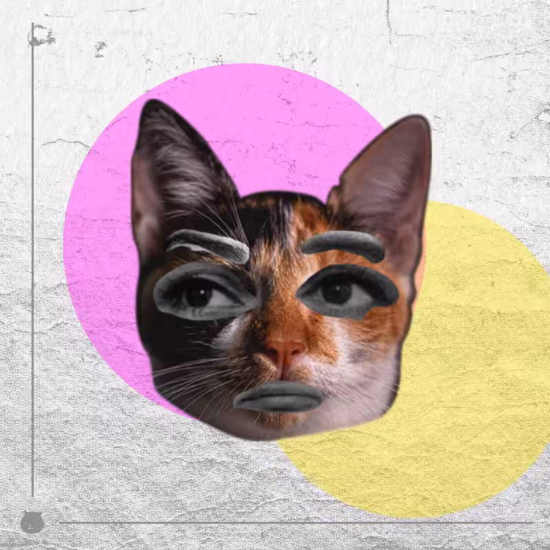 Kittenstein #75