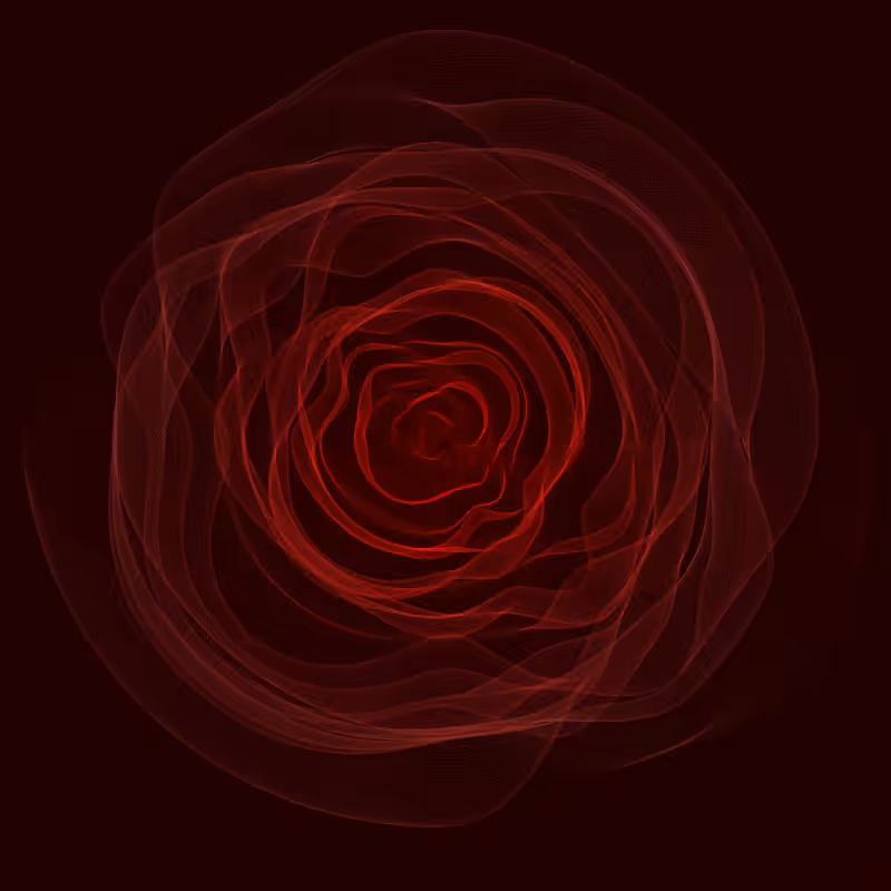 Roses #17