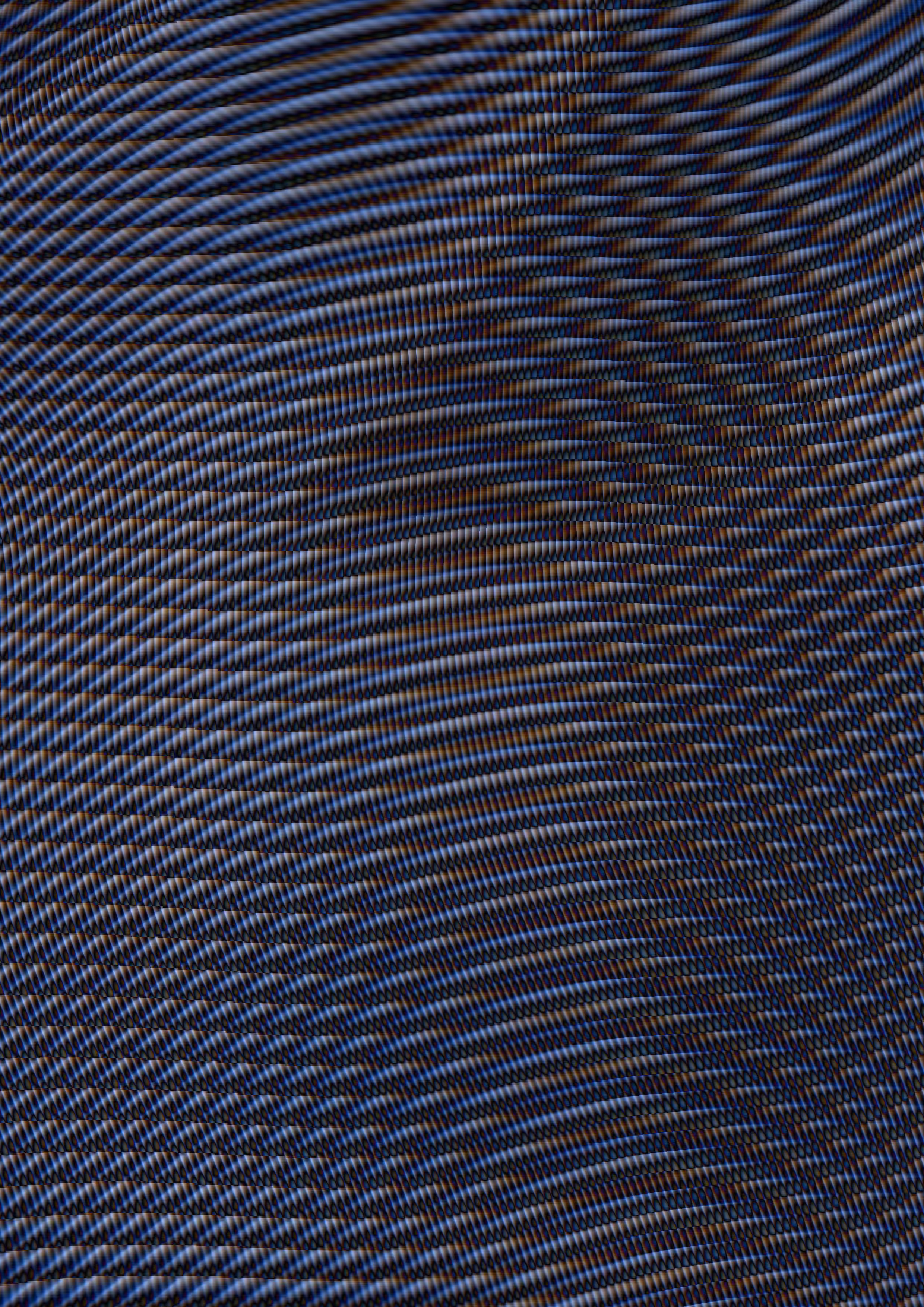 appendage 02/