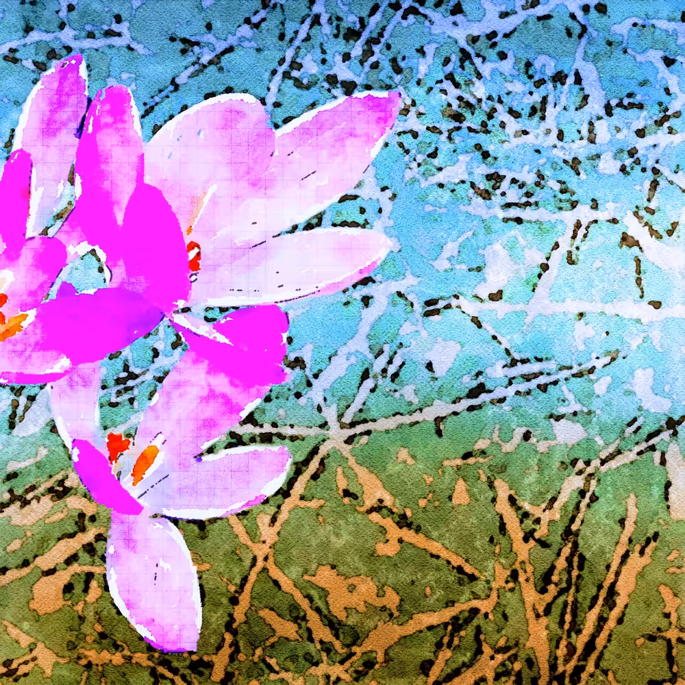 Blotted Blooms