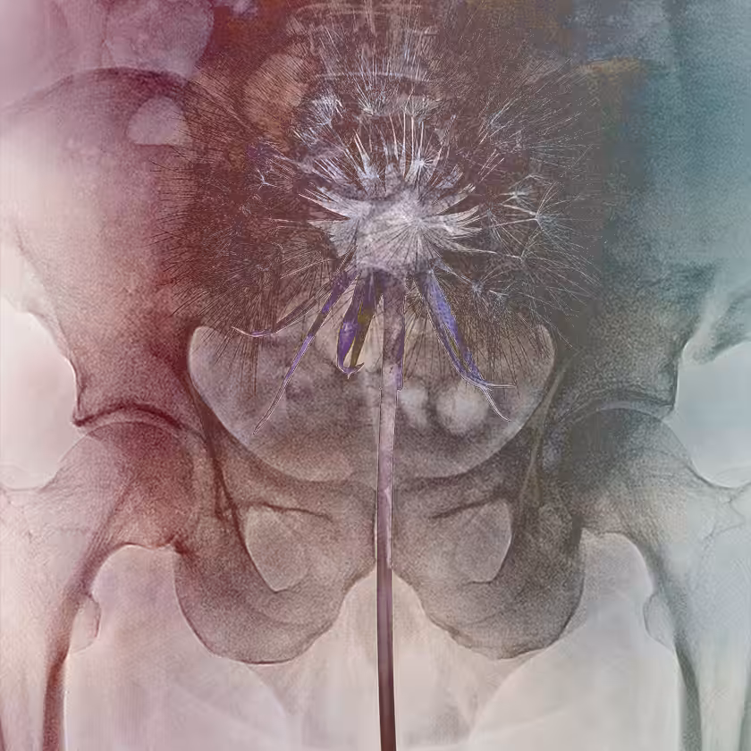 flowers and death #16