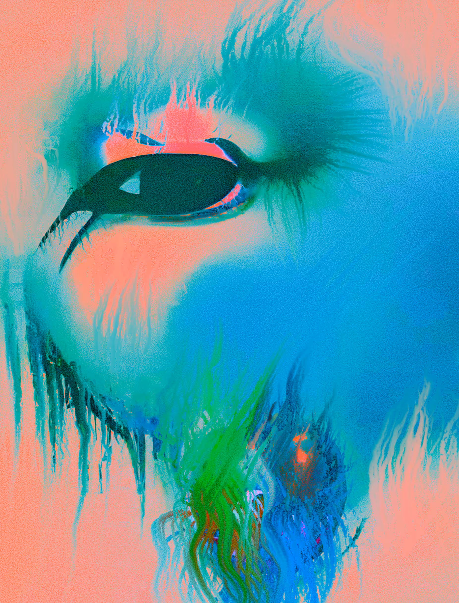 Pure Soul / Dirty Ego