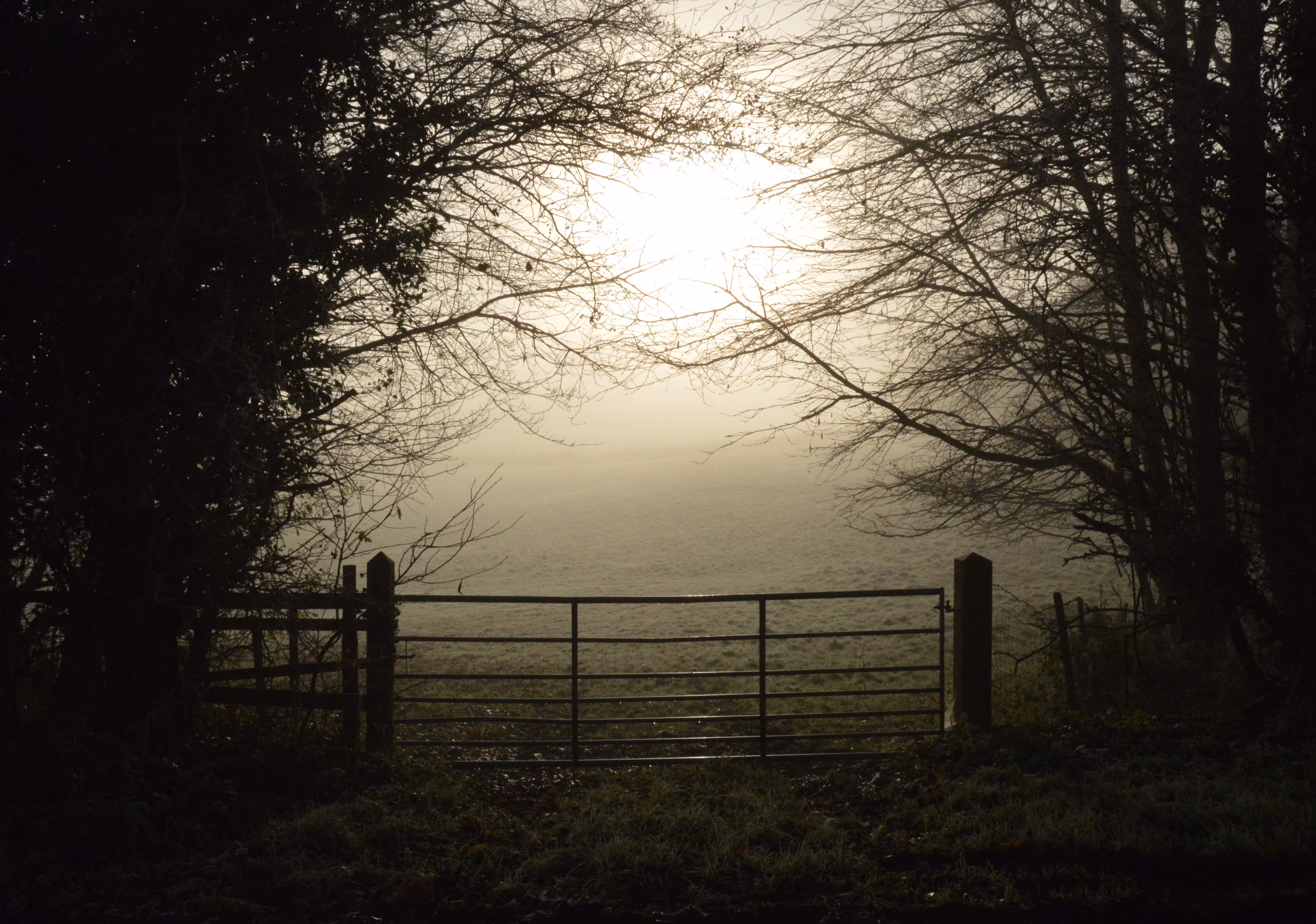 Landscape 4