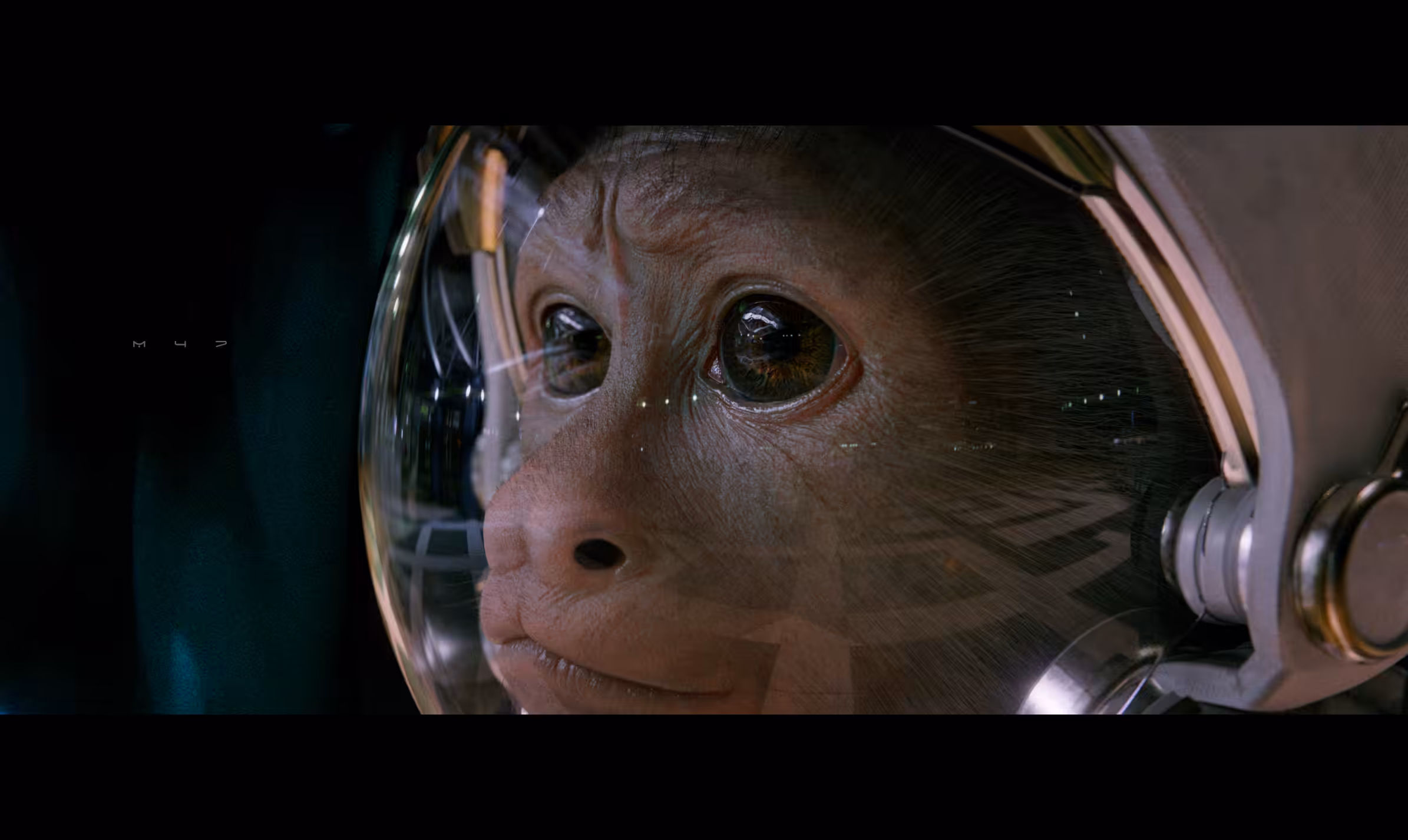 Space Munkey #243