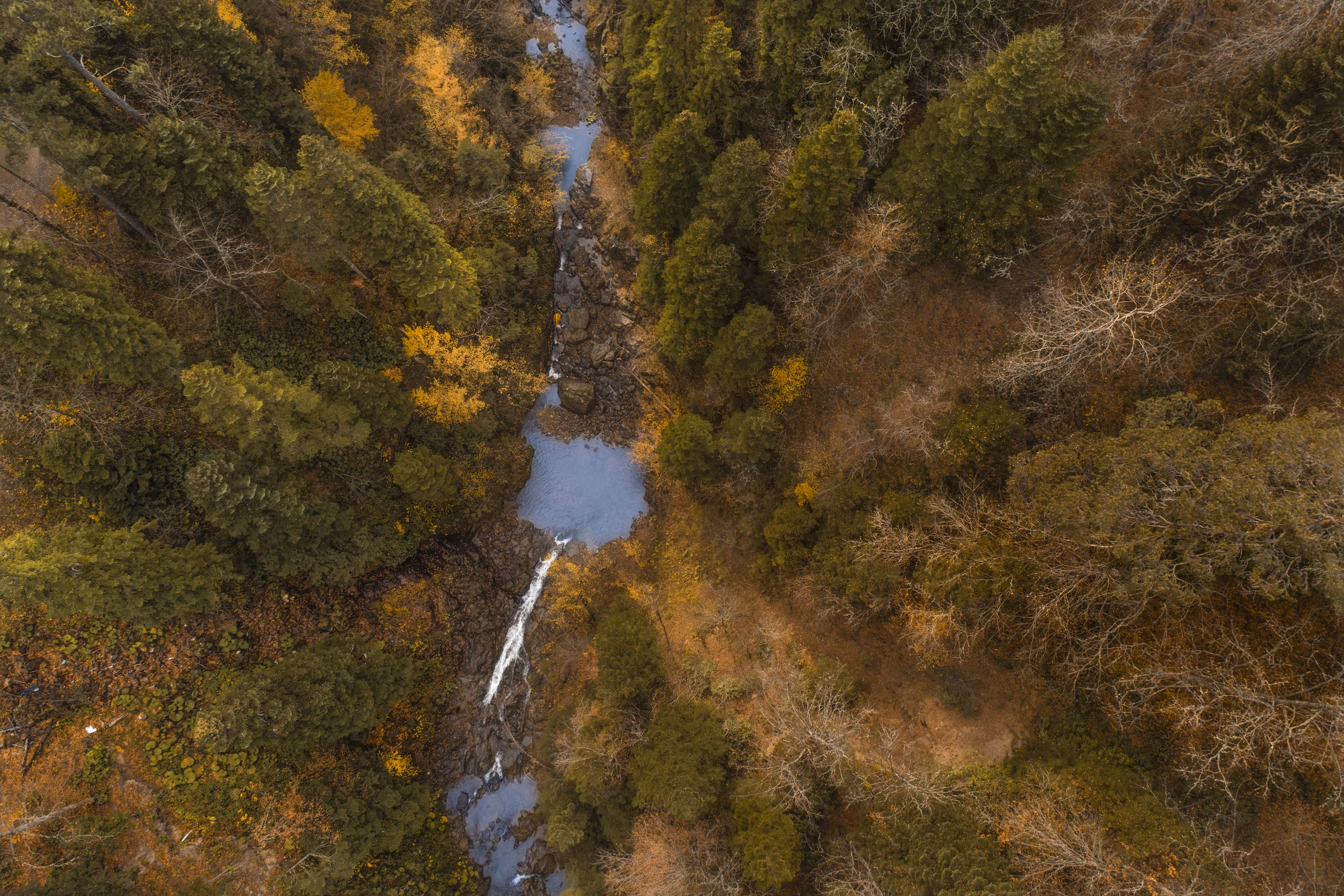Colors Of Nature #10