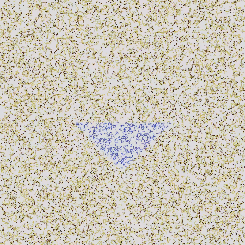 Plains #138