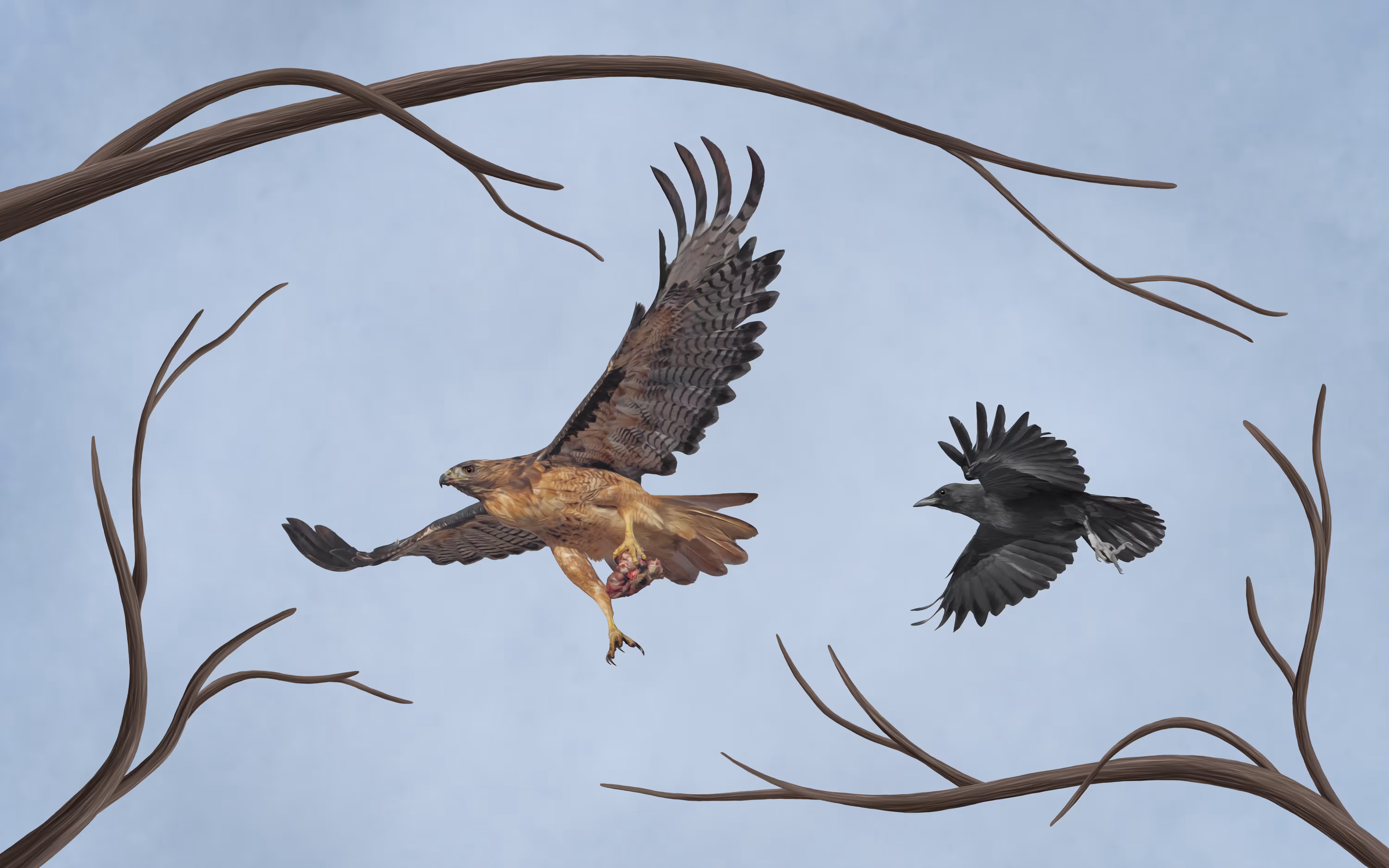 Hendro Soetrisno: Clash of the Feathers