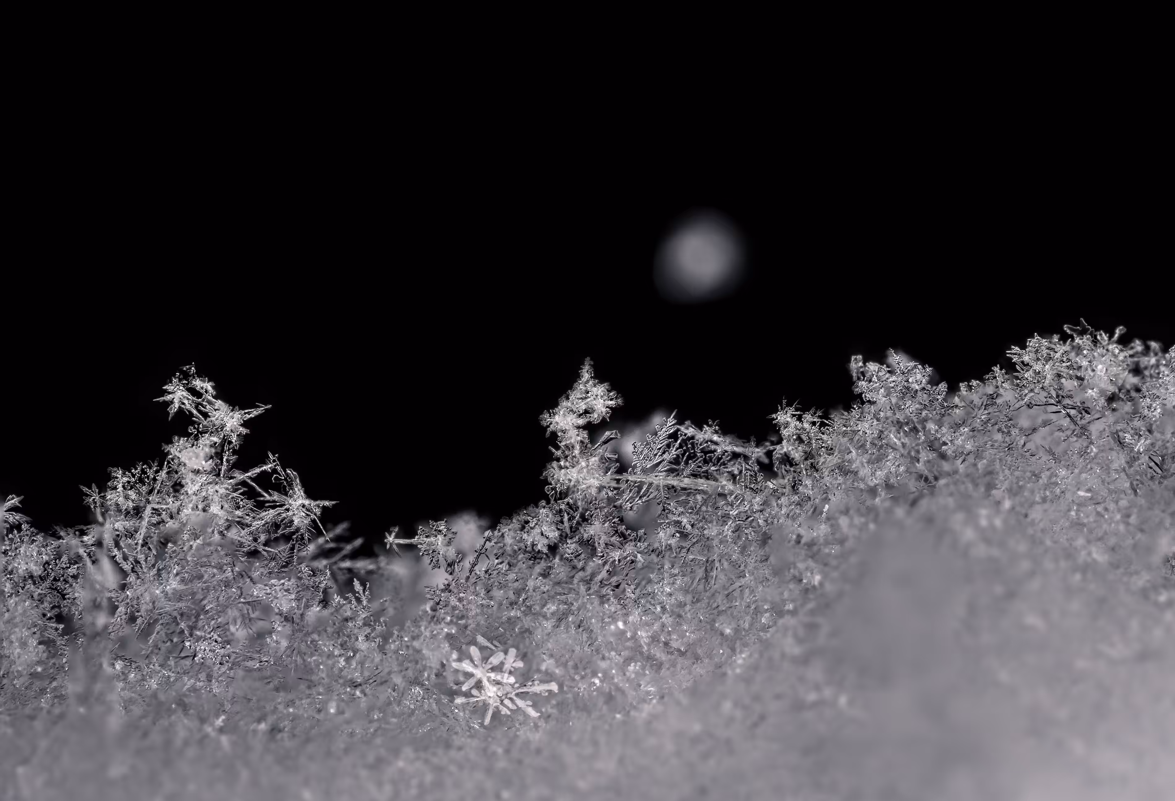 Snowflakes
