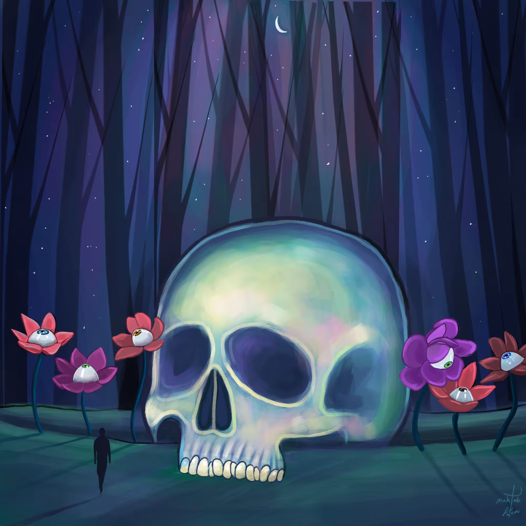 The night of wonder