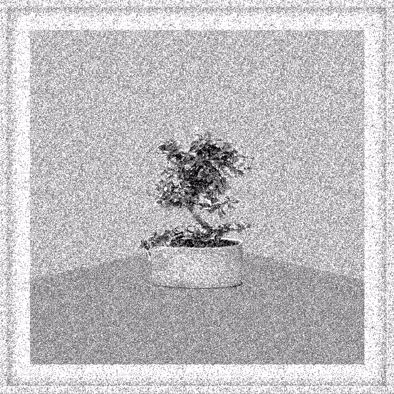 Bonsai Bonanza #729