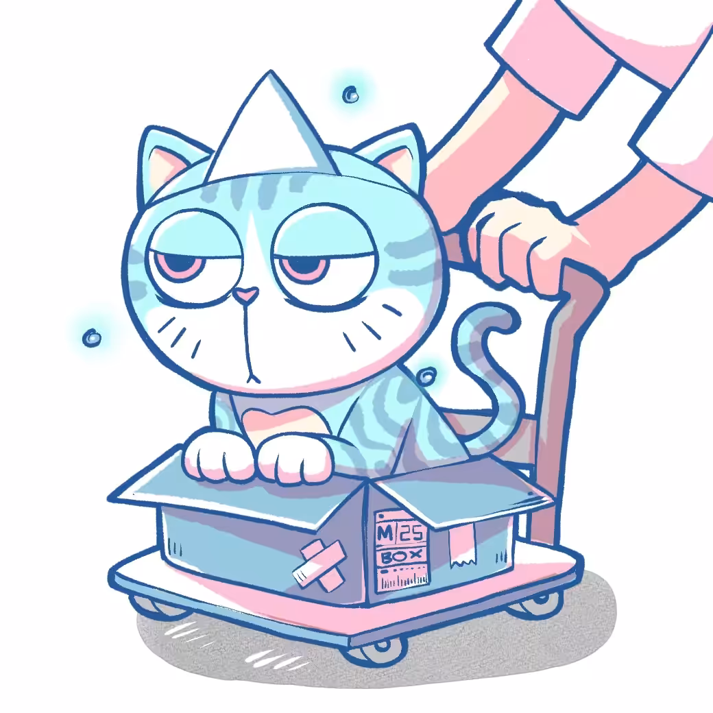 Meow in the Box #25