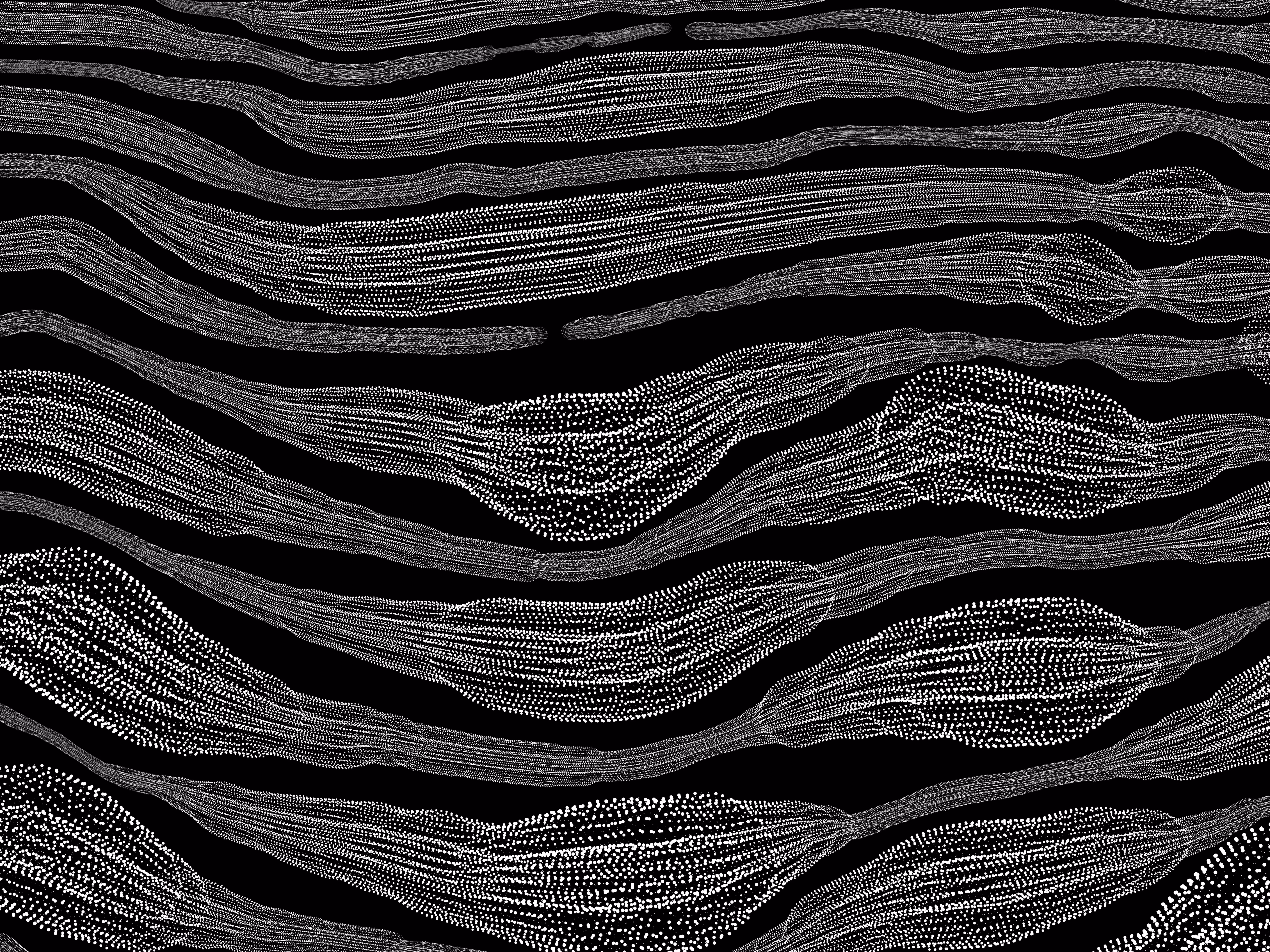 DIFFERENCE AND REPETITION > A CABINET OF CURIOSITIES #3