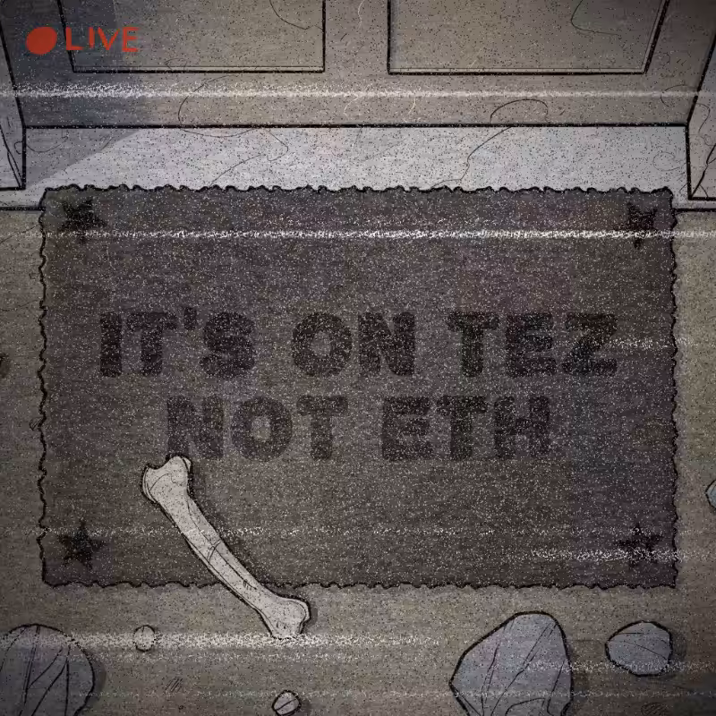 NOT A RUG #271