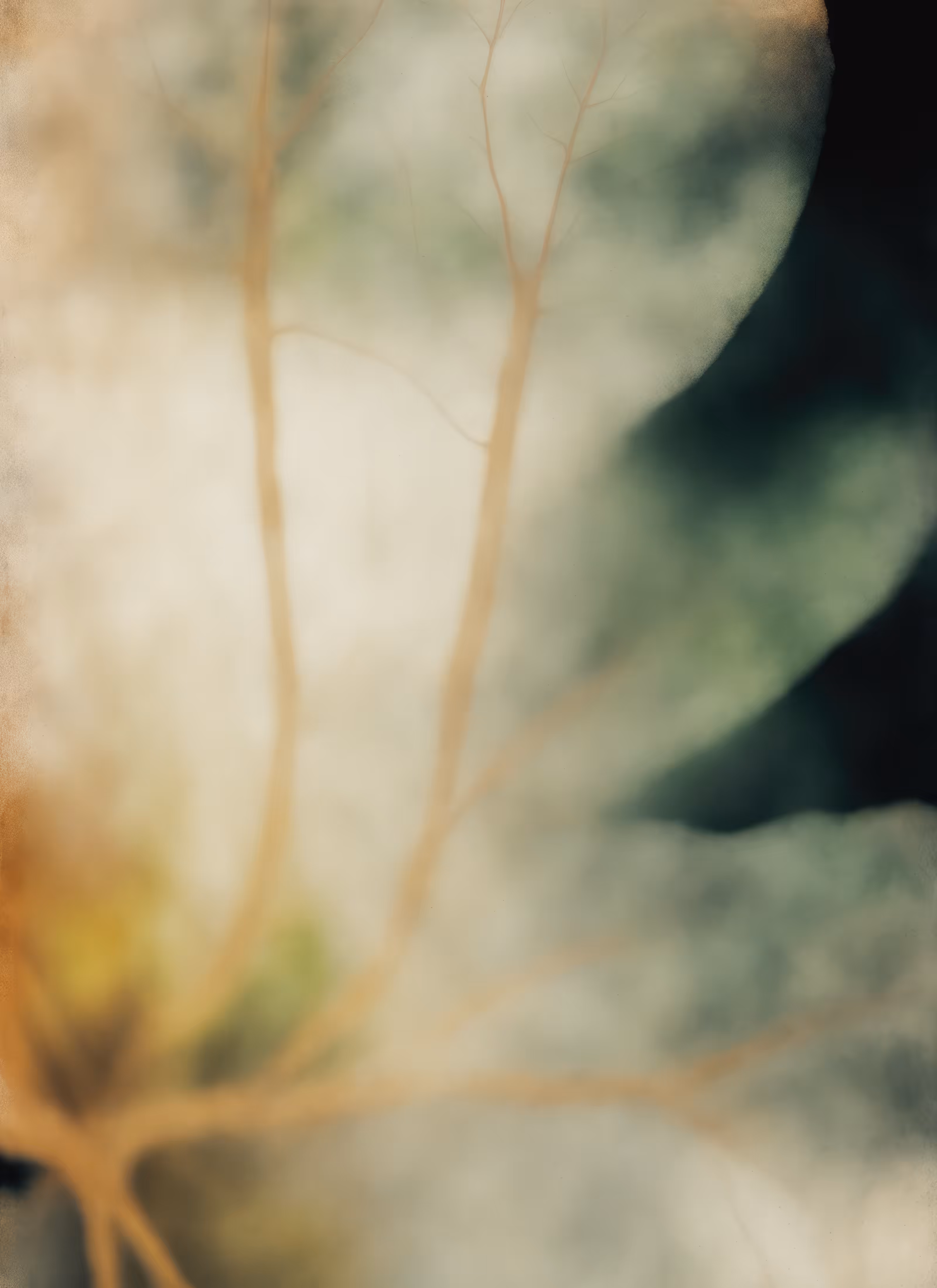 Blur Fleurs :: Merge #1