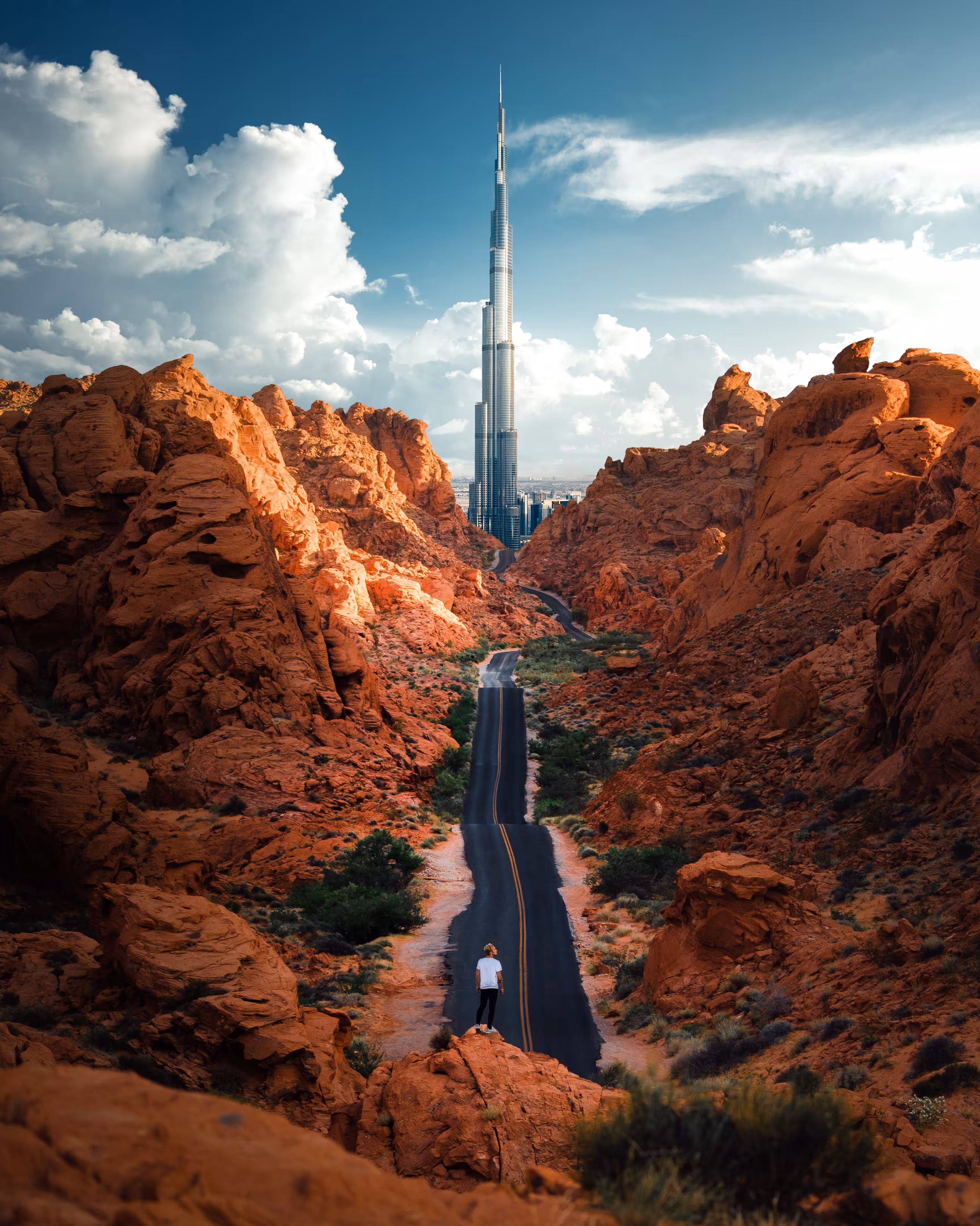 DREAM WORLD IV