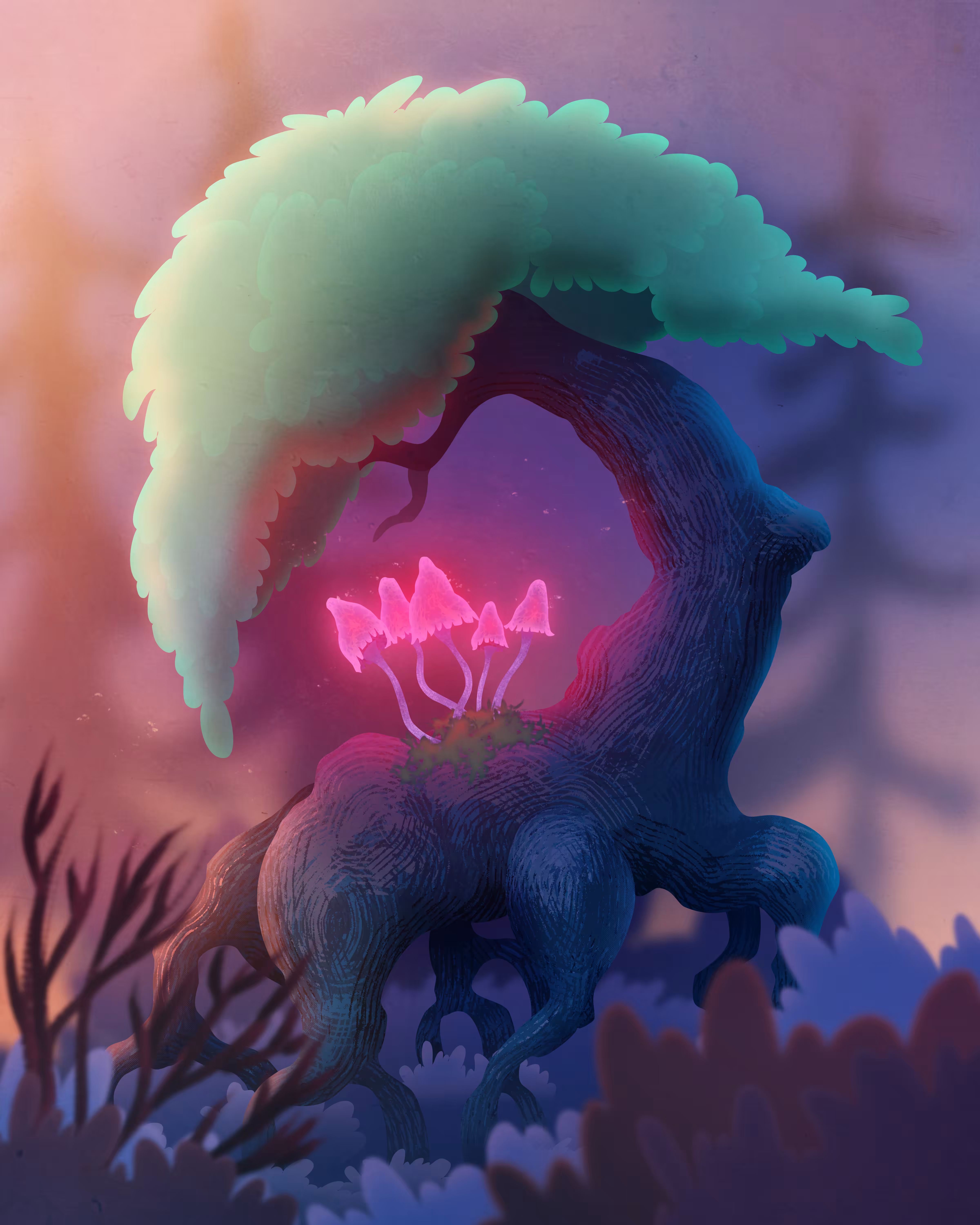 Bonsia In The Woods