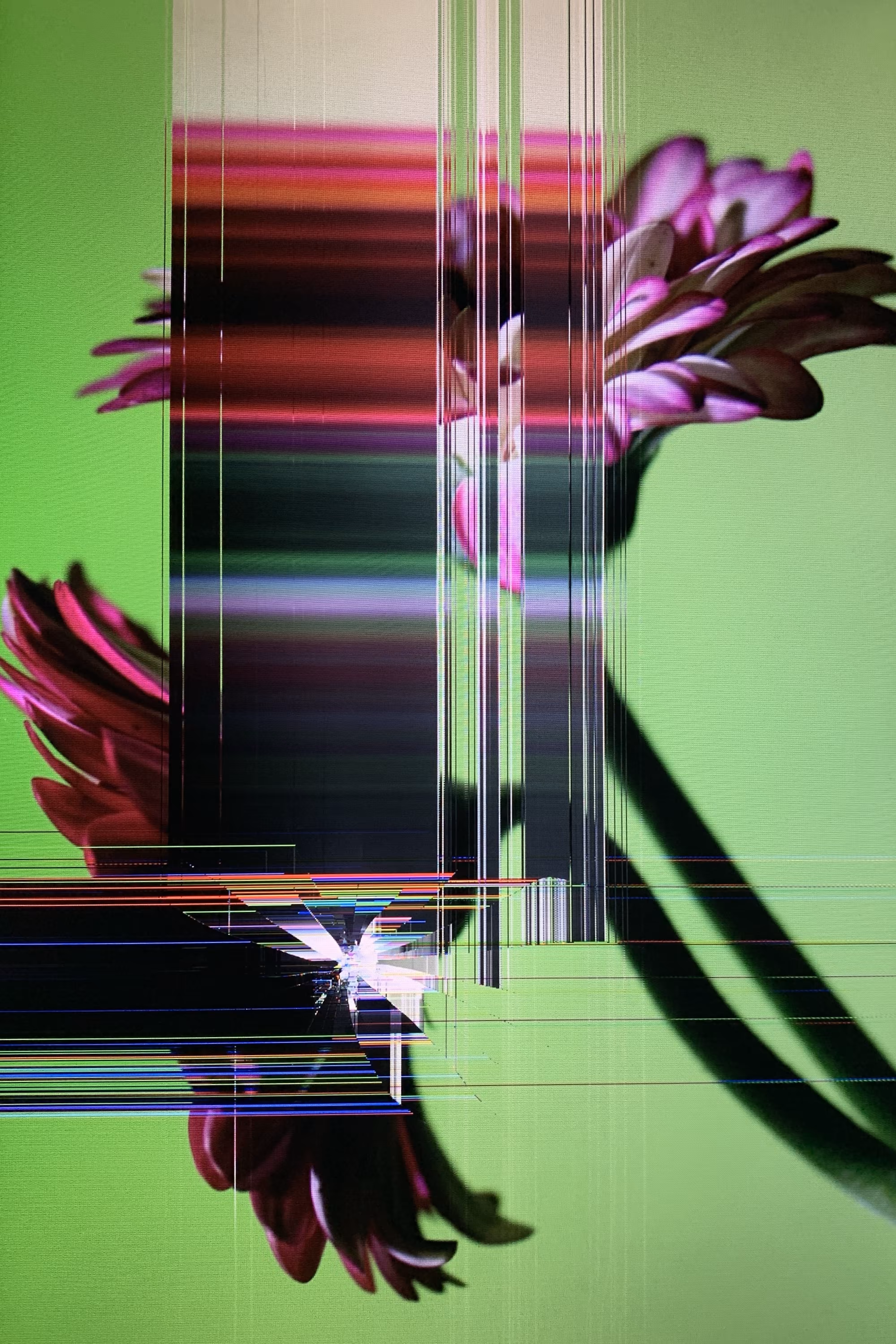 LOWREZ046