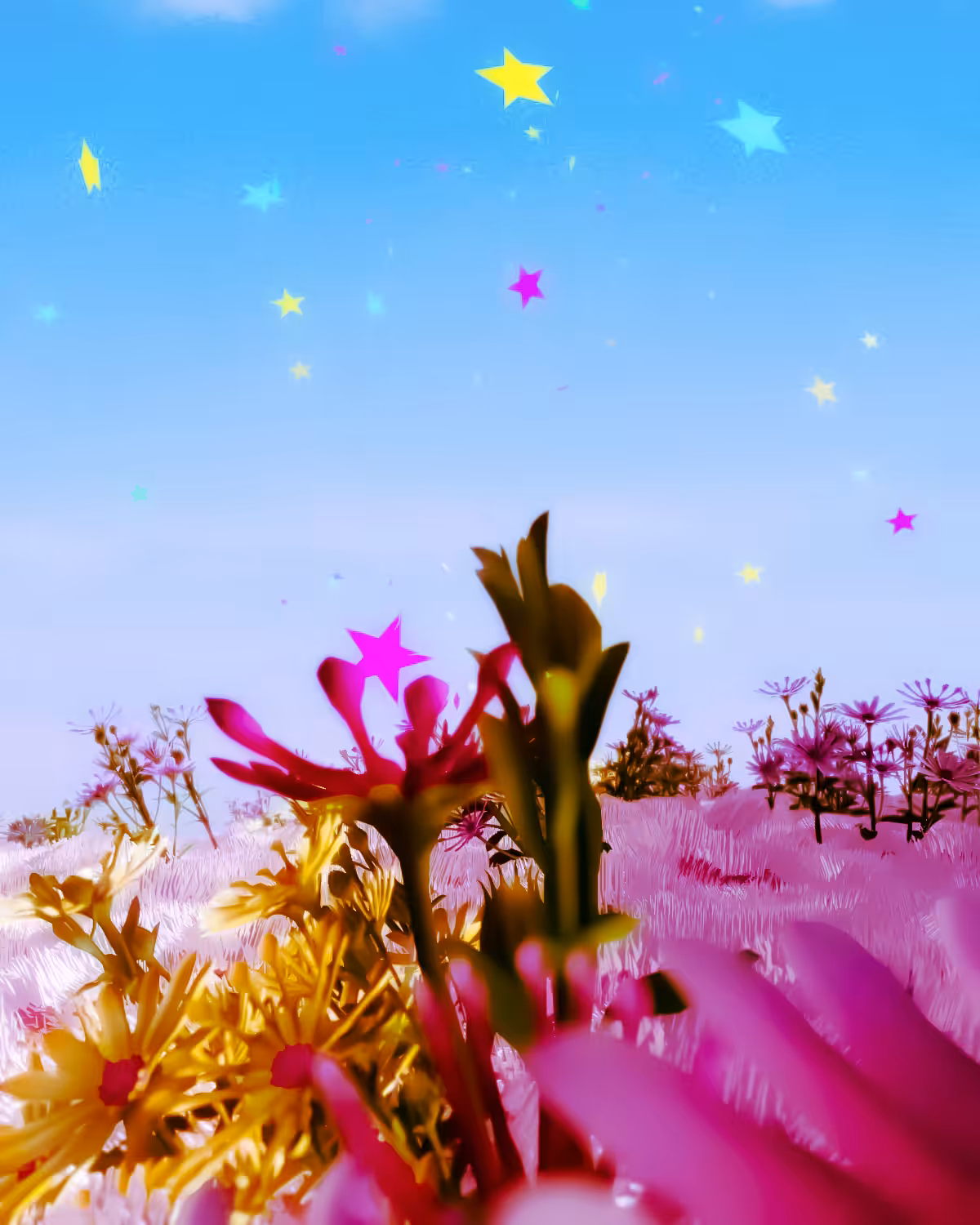 Stars and Flowers