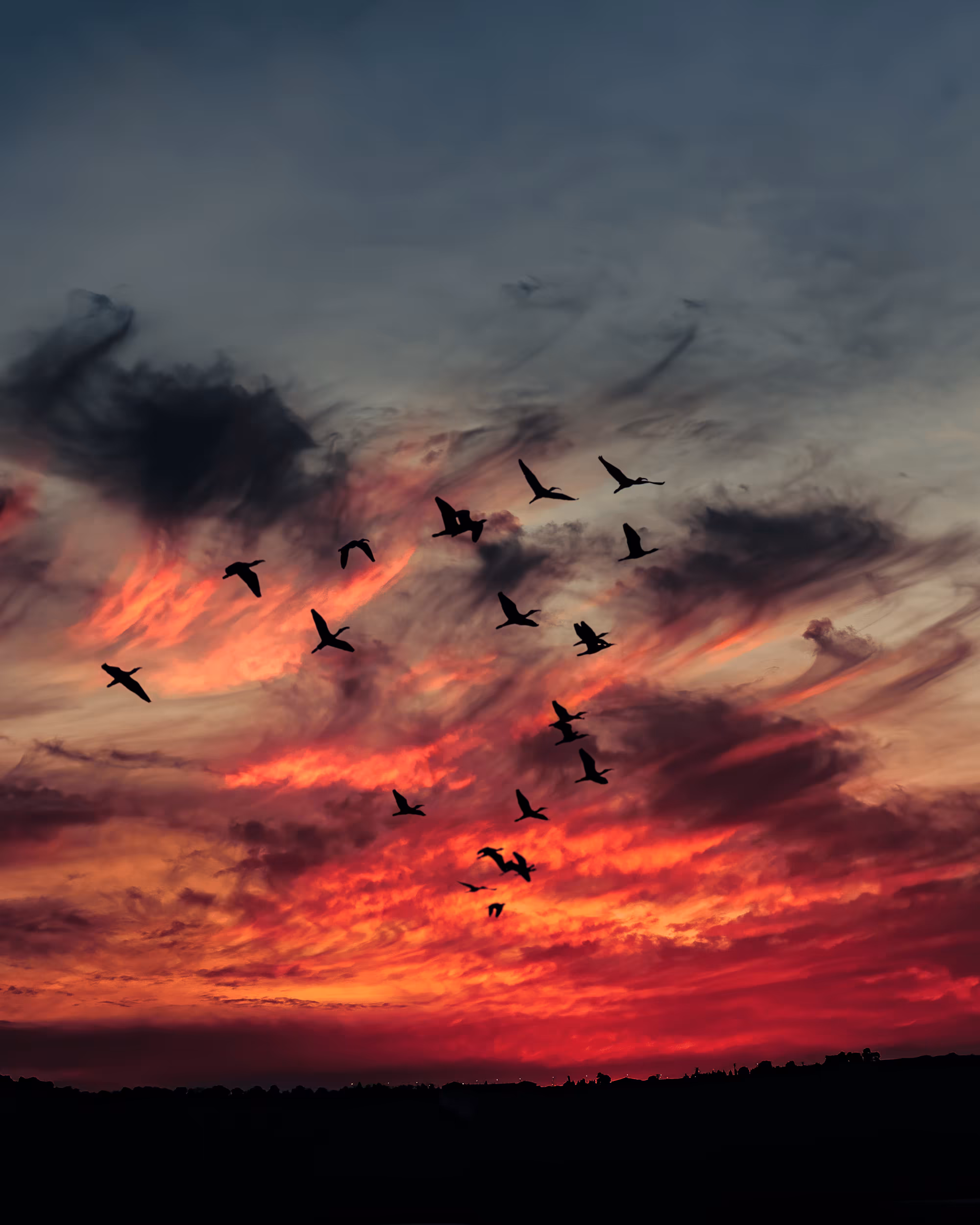 Flock of Us #13