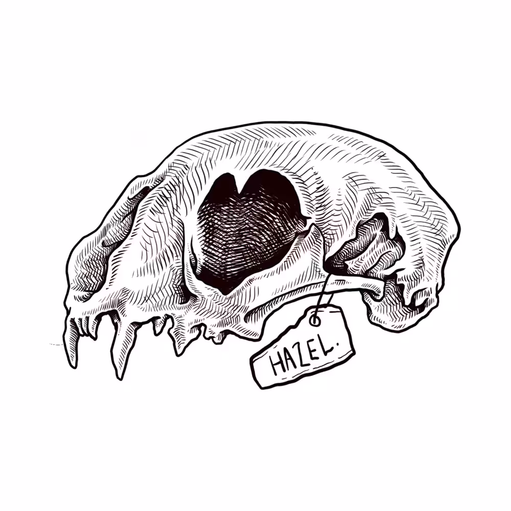 HAZEL-SKULL
