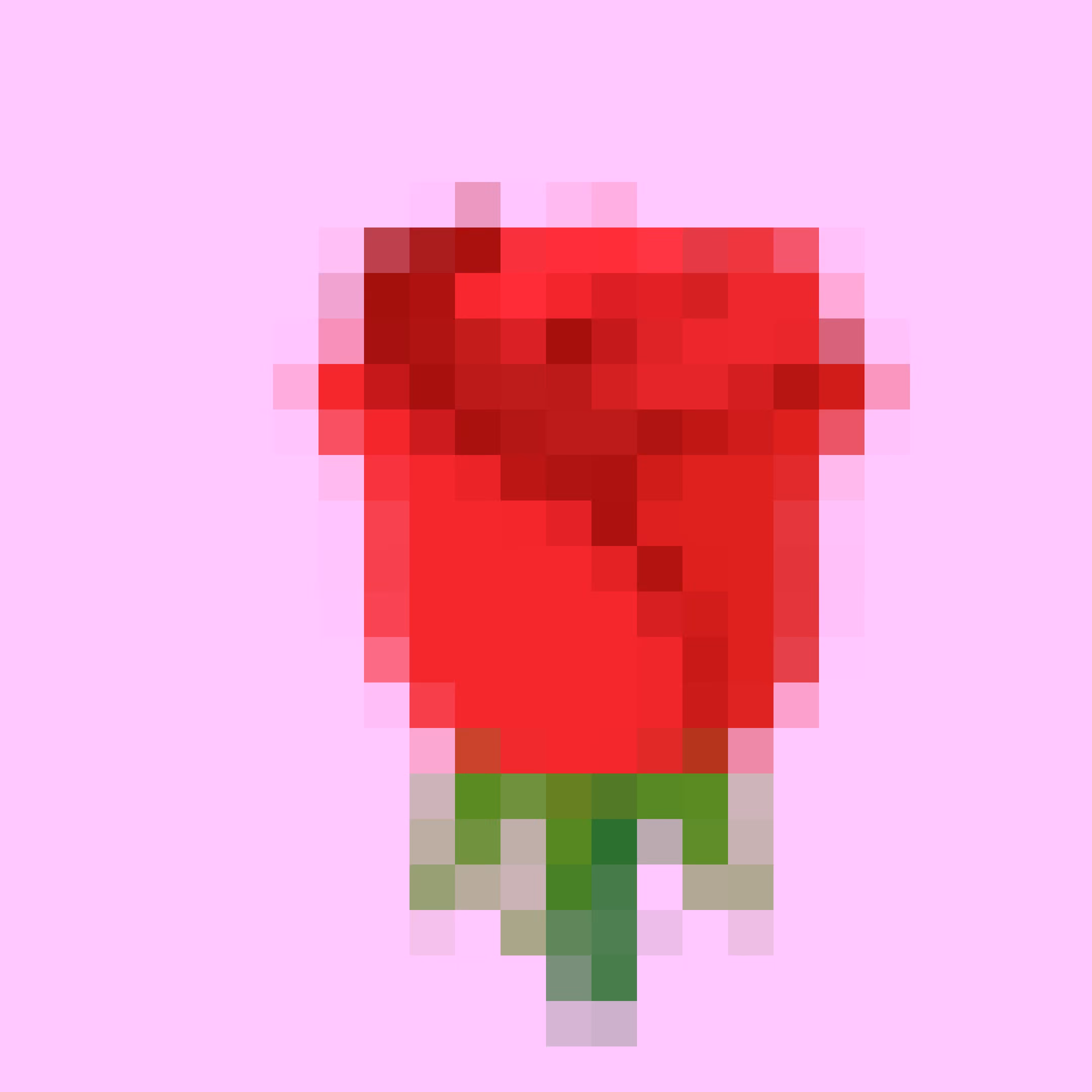 🌹