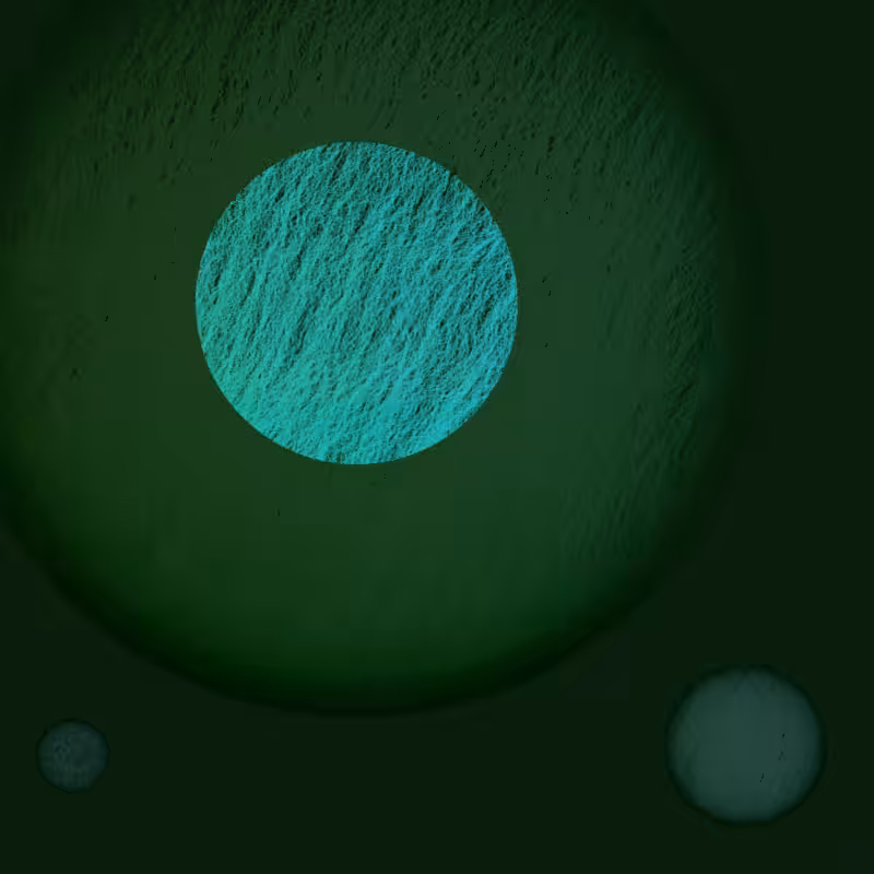 Orbit #95