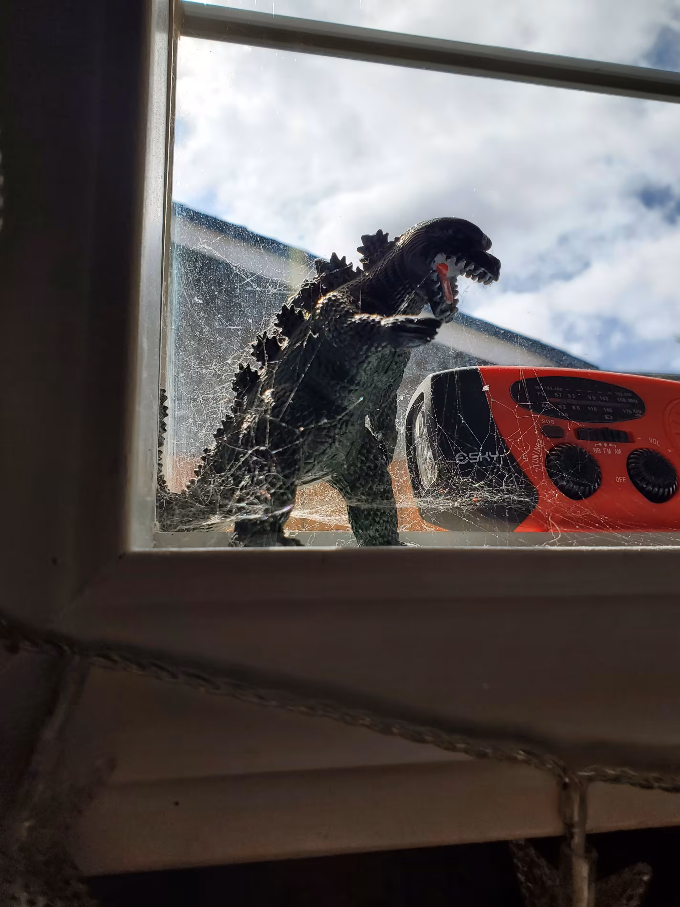 Rodeo post #92