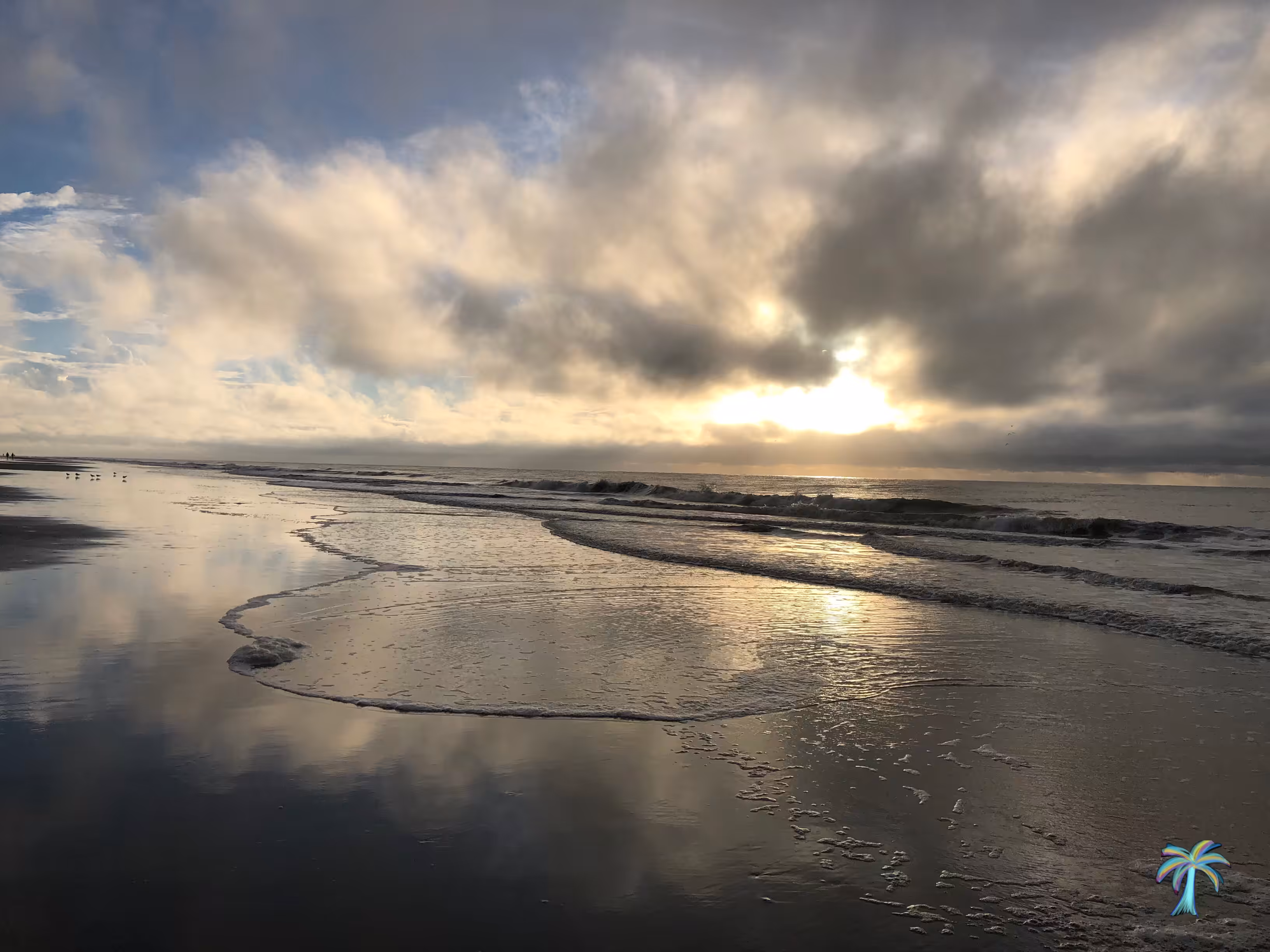 Reflective Beauty
