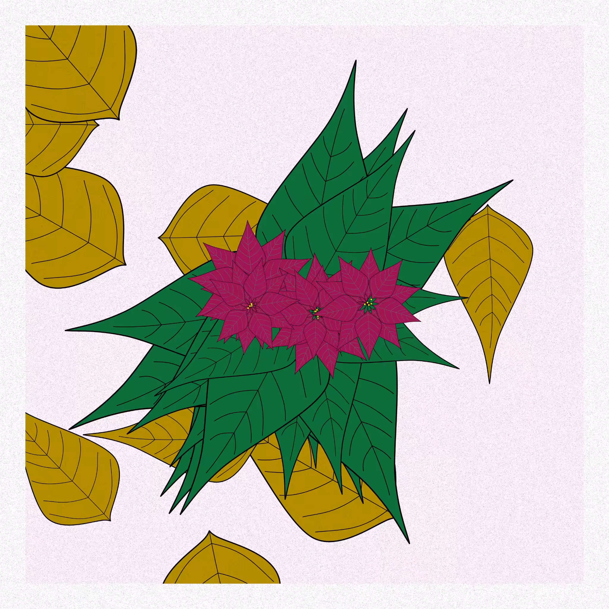 Flowers #254