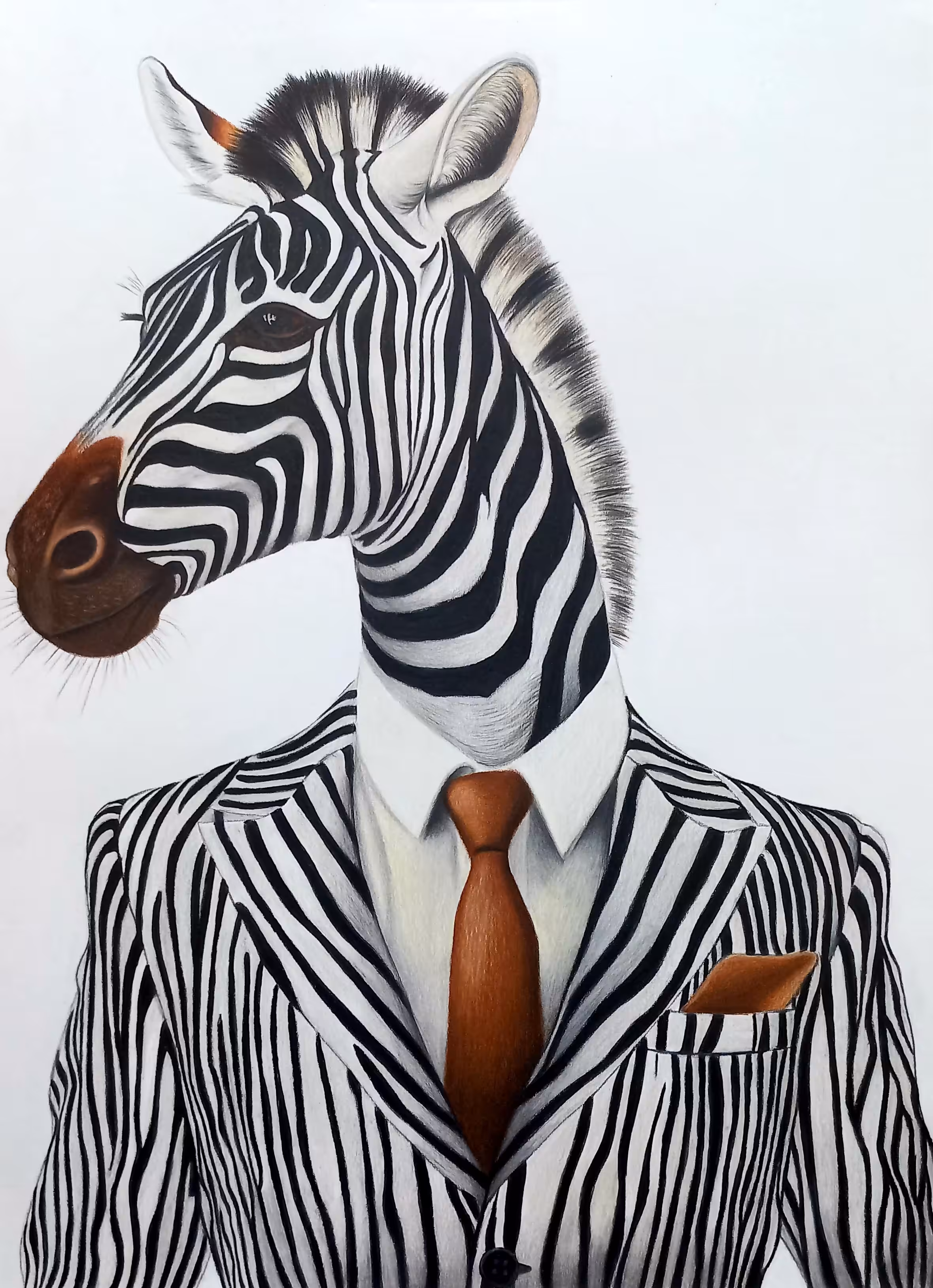 Mr. Zebra