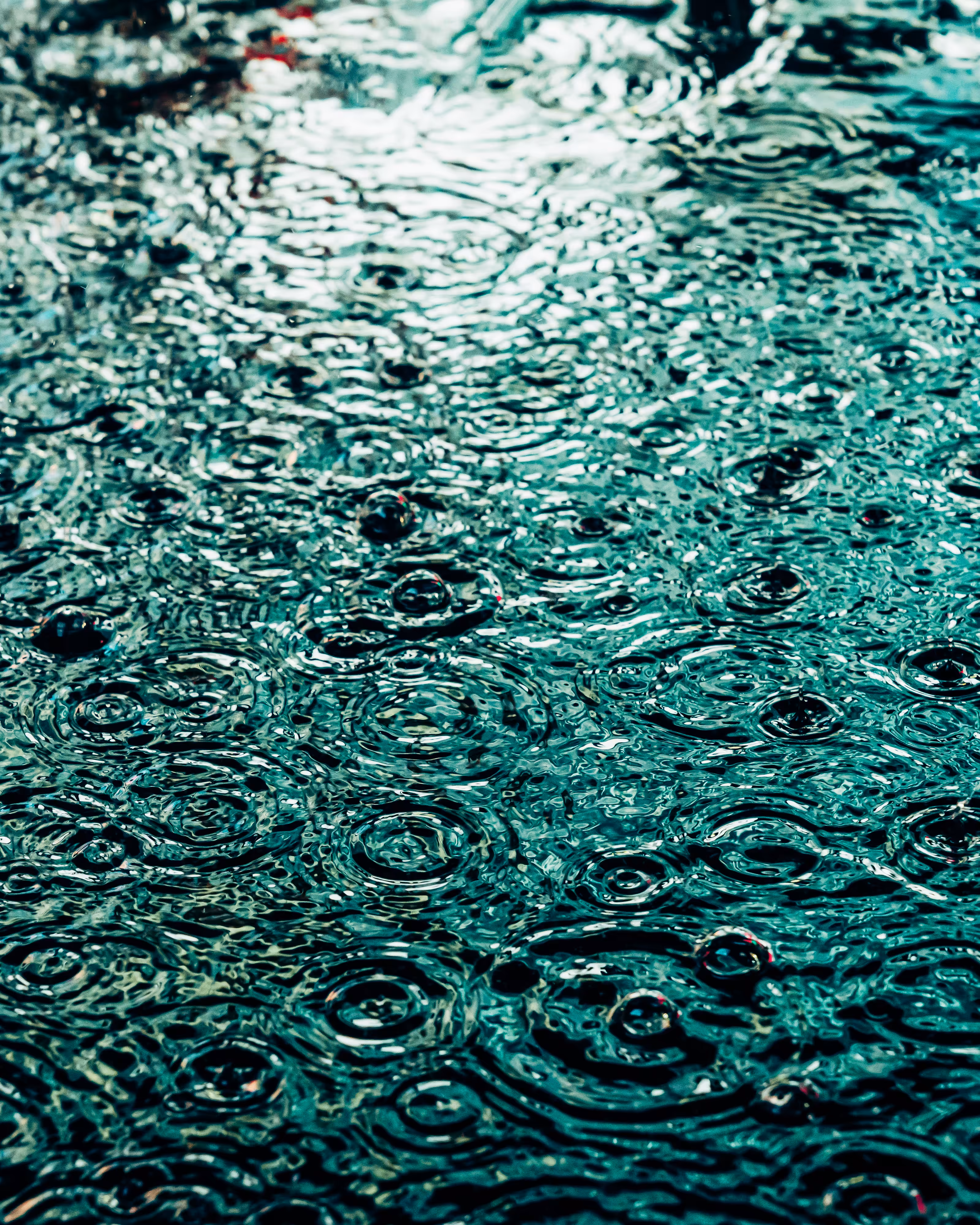 DRIP DROP: DRIP #178
