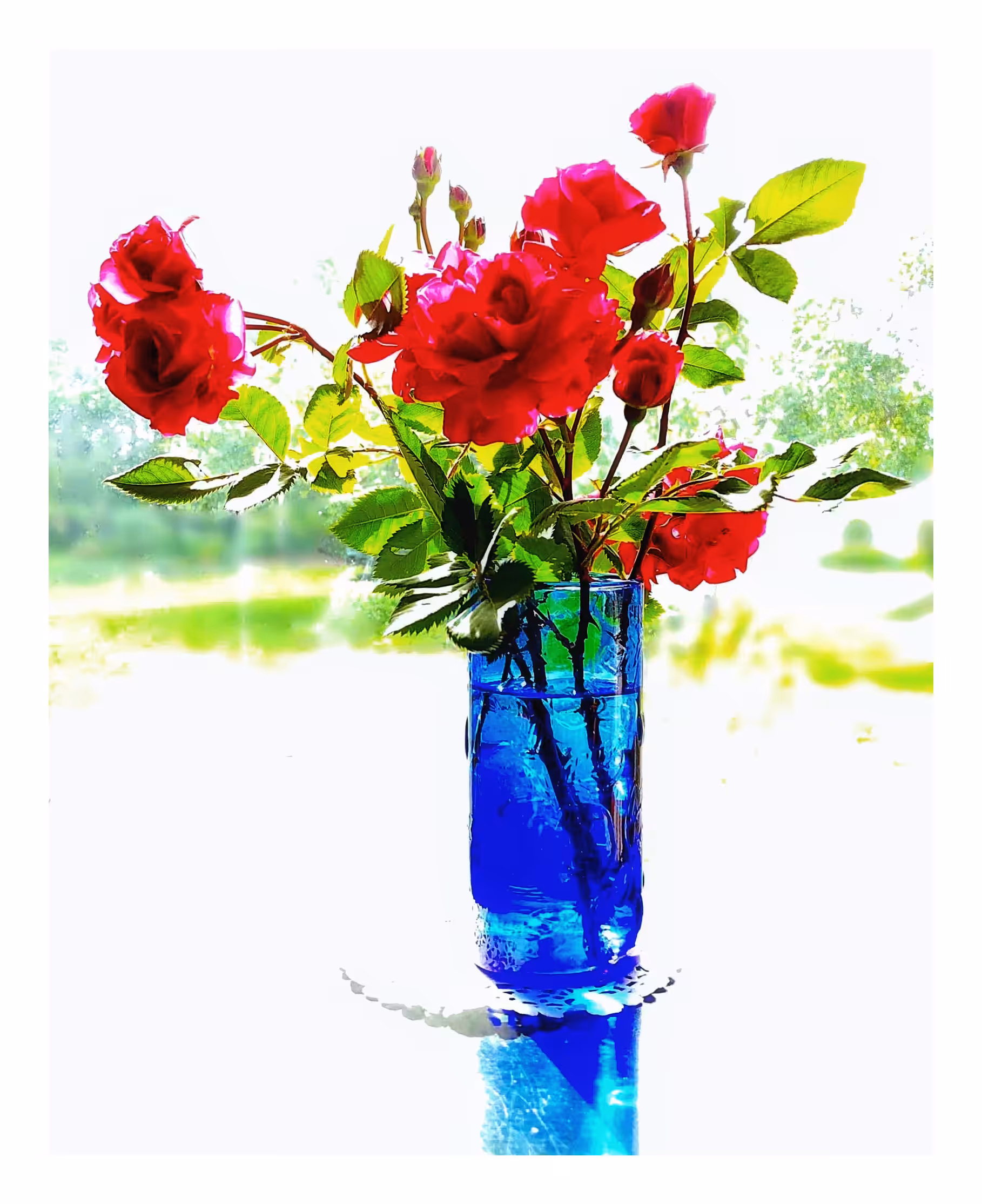 Roses
